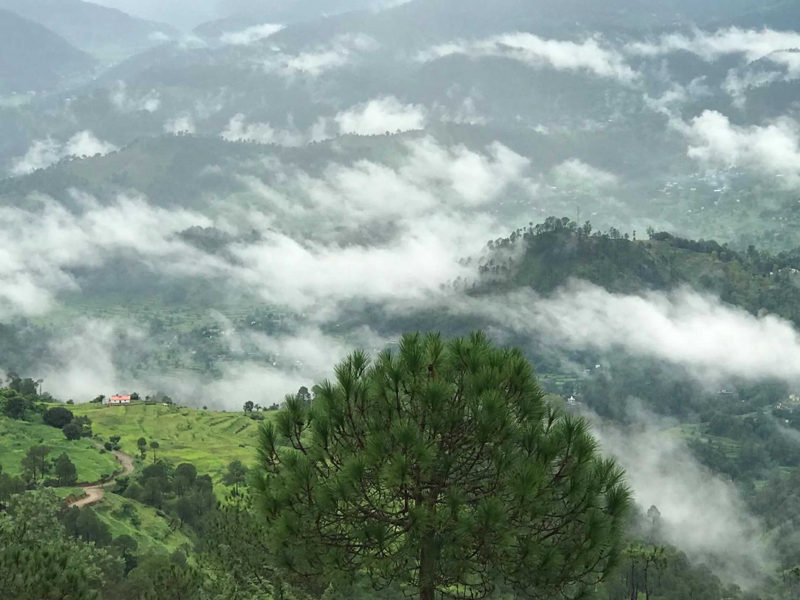 Mountain view in Woodsvilla Resort Ranikhet