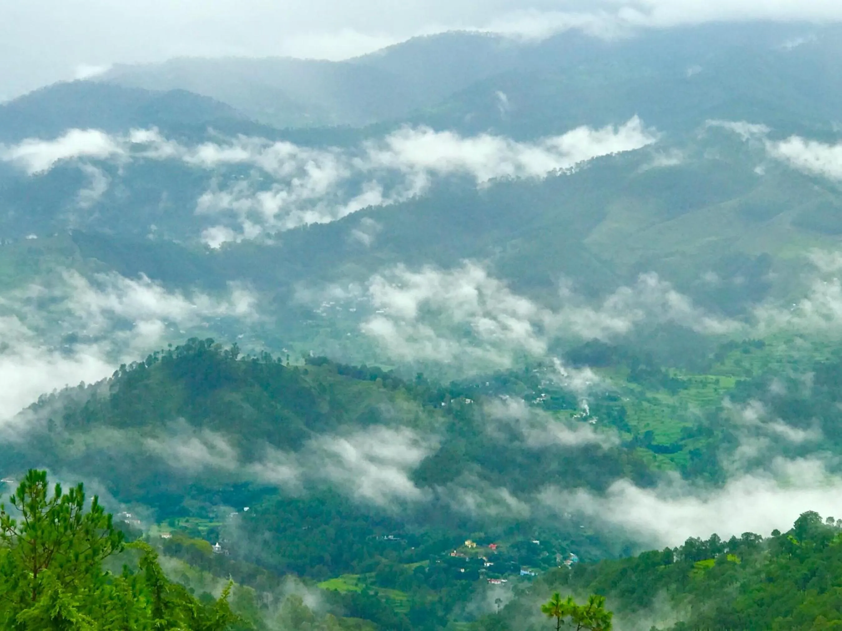 View (from property/room) in Woodsvilla Resort Ranikhet