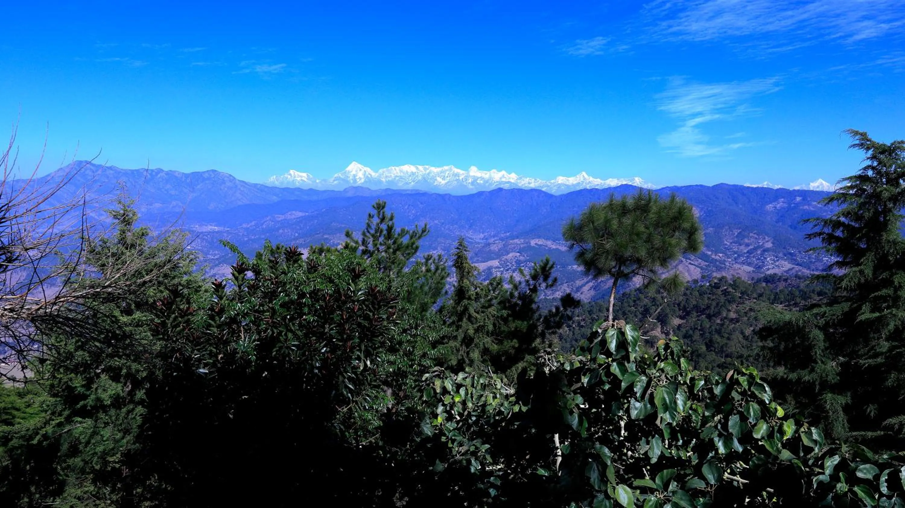 Mountain view in Woodsvilla Resort Ranikhet