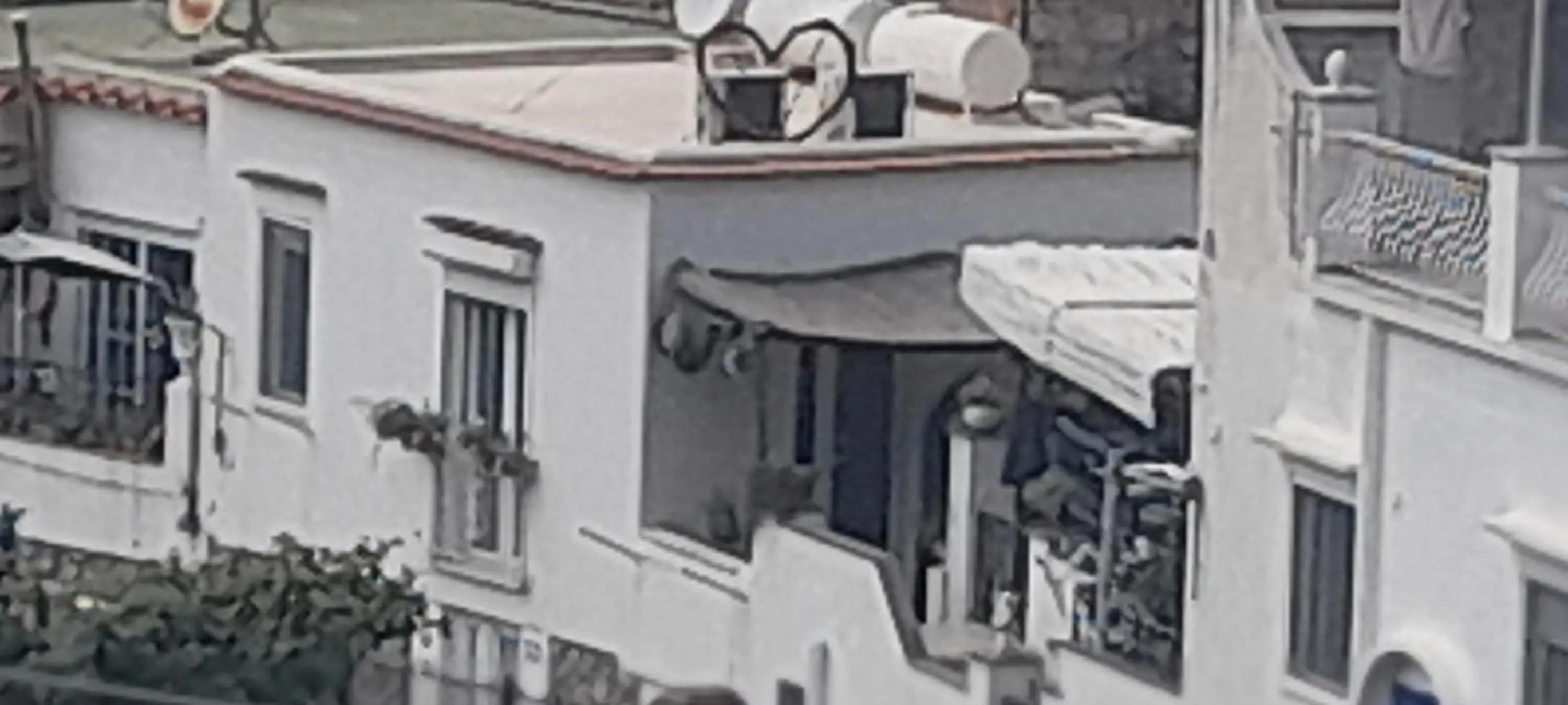 La Necussella