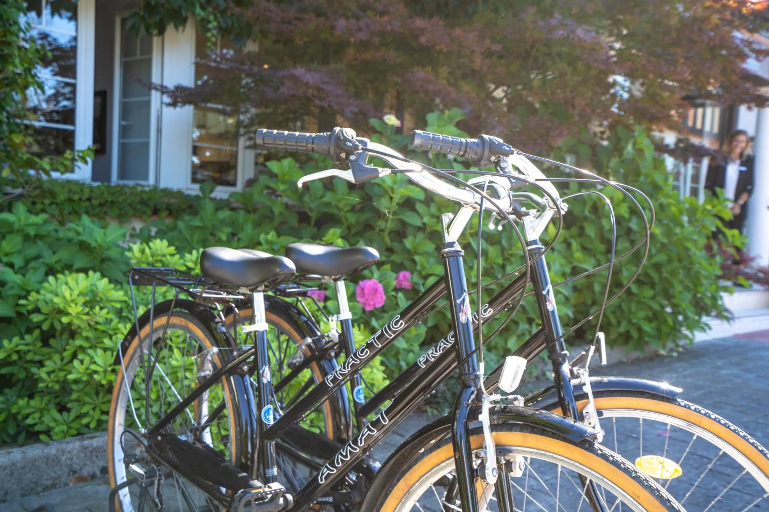Cycling in Hotel Torres de Somo
