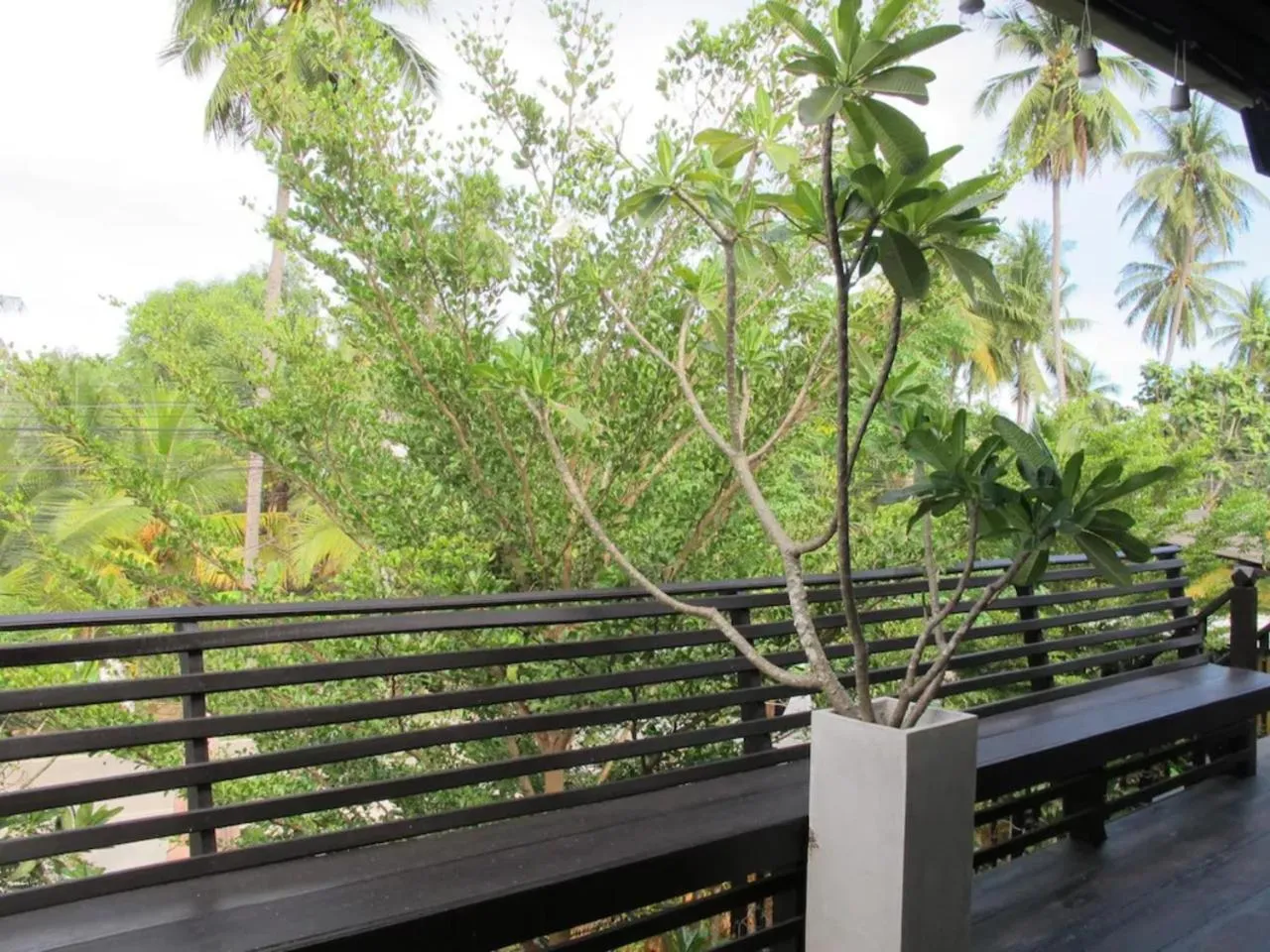 Spring in Panviman Amphawa Garden Resort