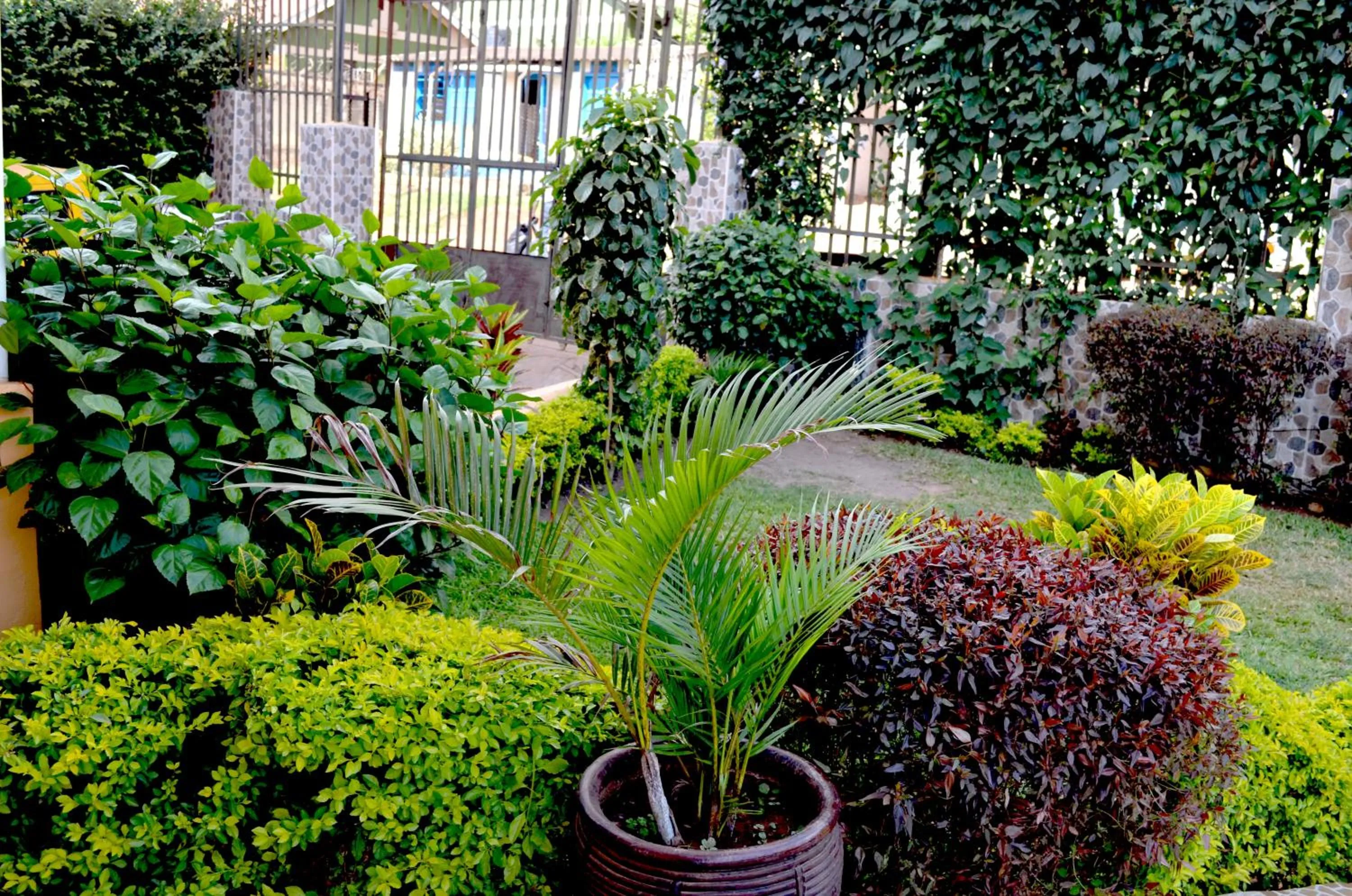 Garden view in Hotel Top Five