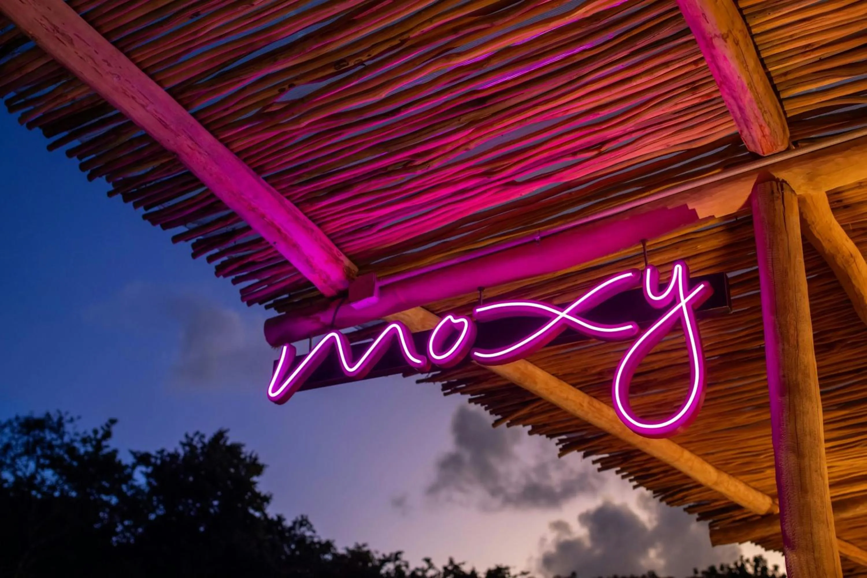 View (from property/room) in Moxy Tulum
