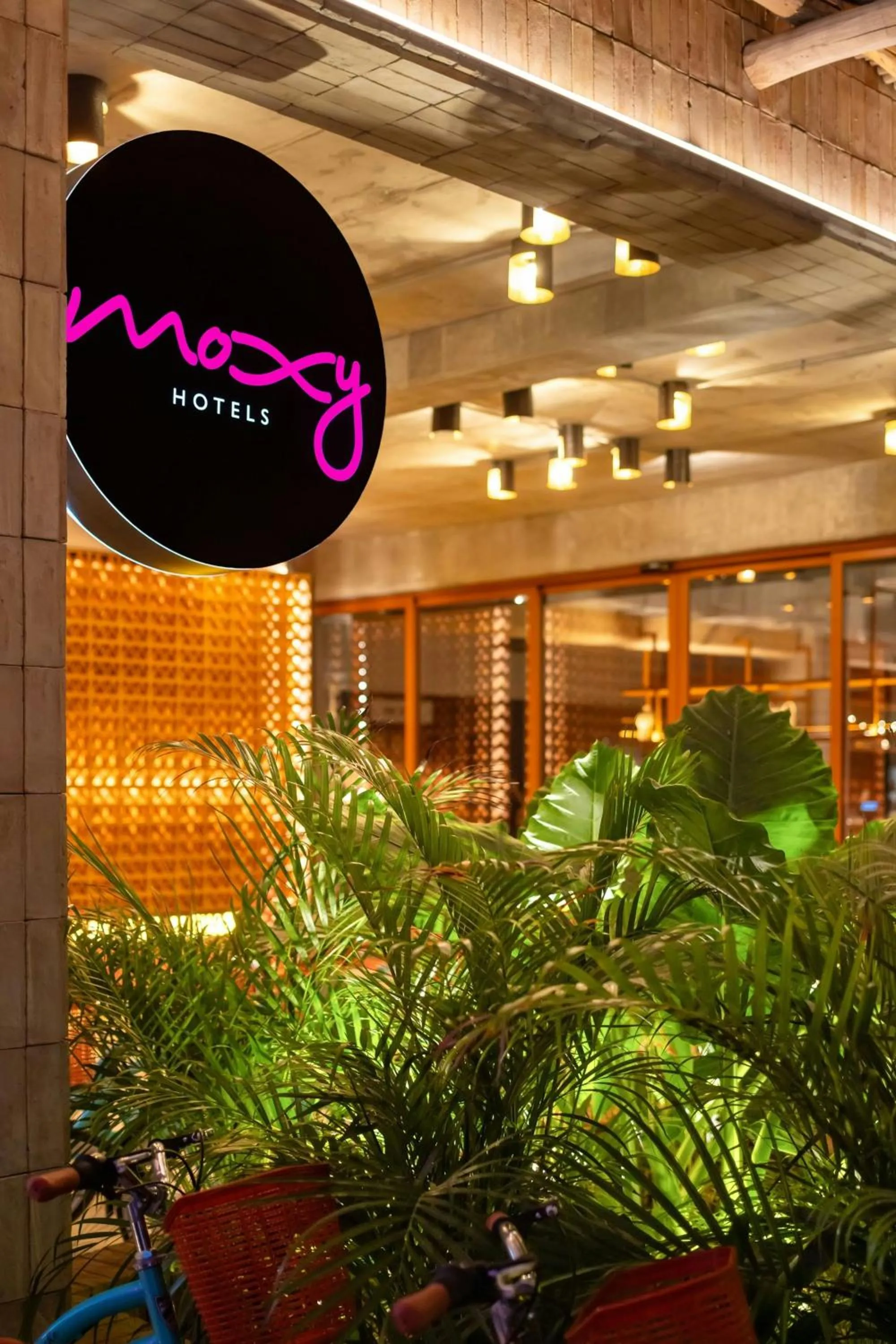 View (from property/room) in Moxy Tulum