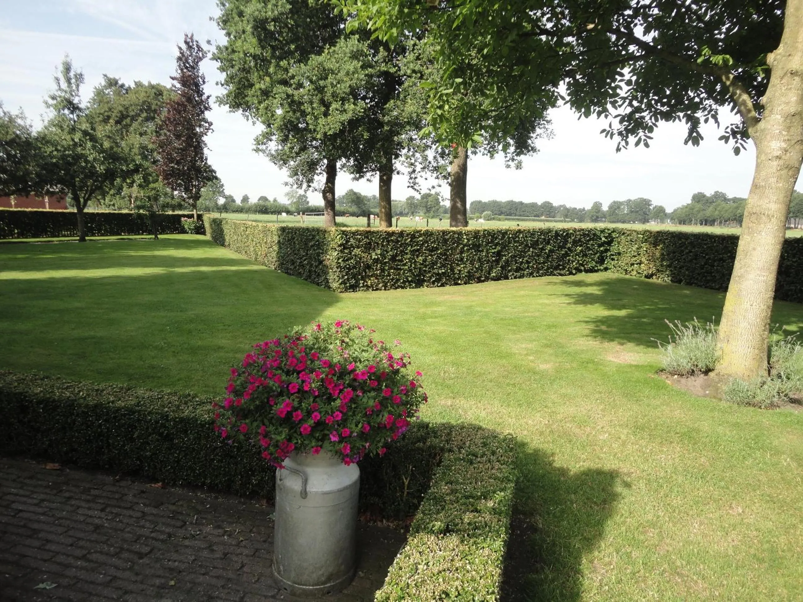 Natural landscape in B&B De Hooiberg