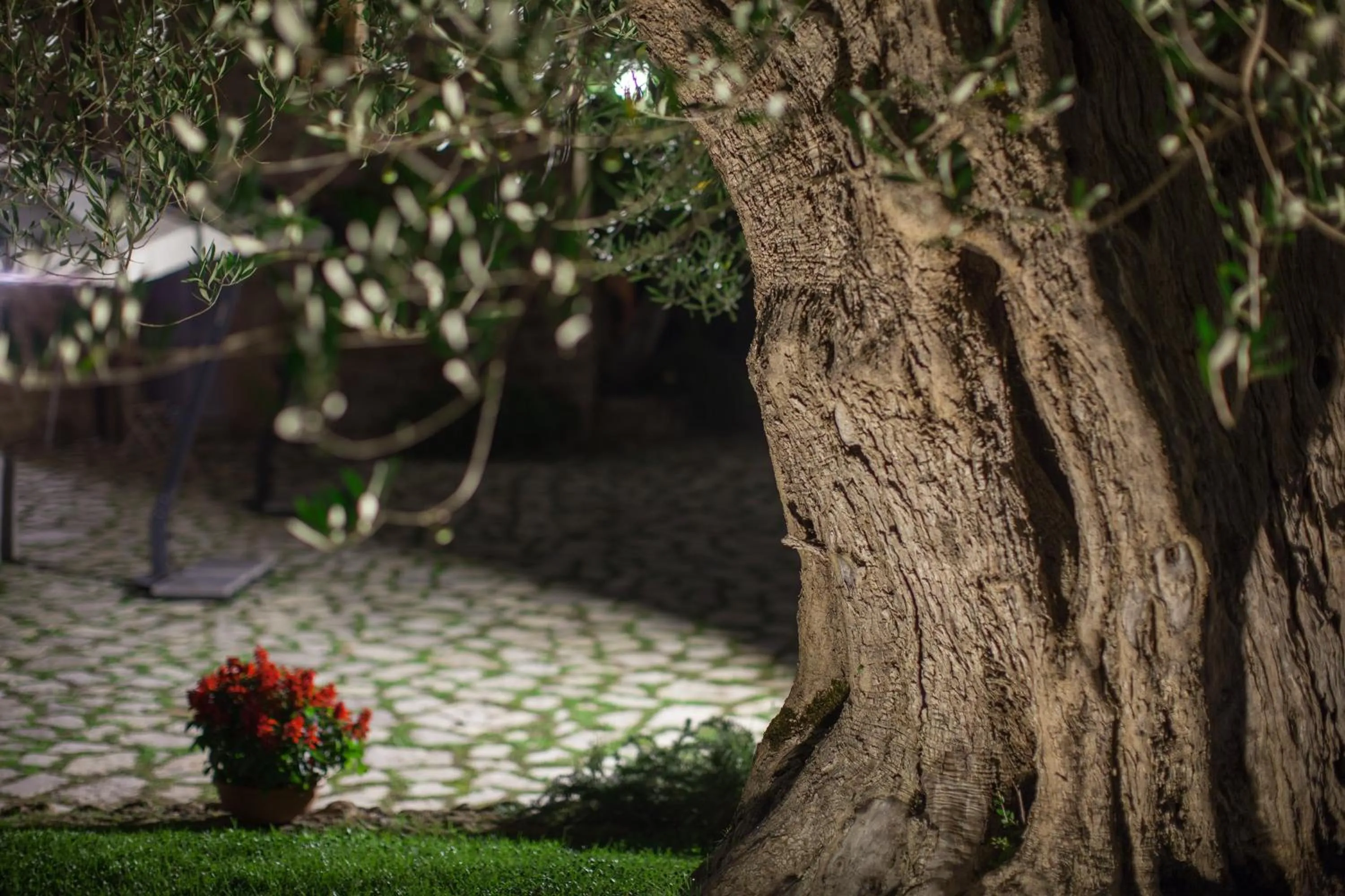 Decorative detail in Borgo Sant'Ambrogio - Resort