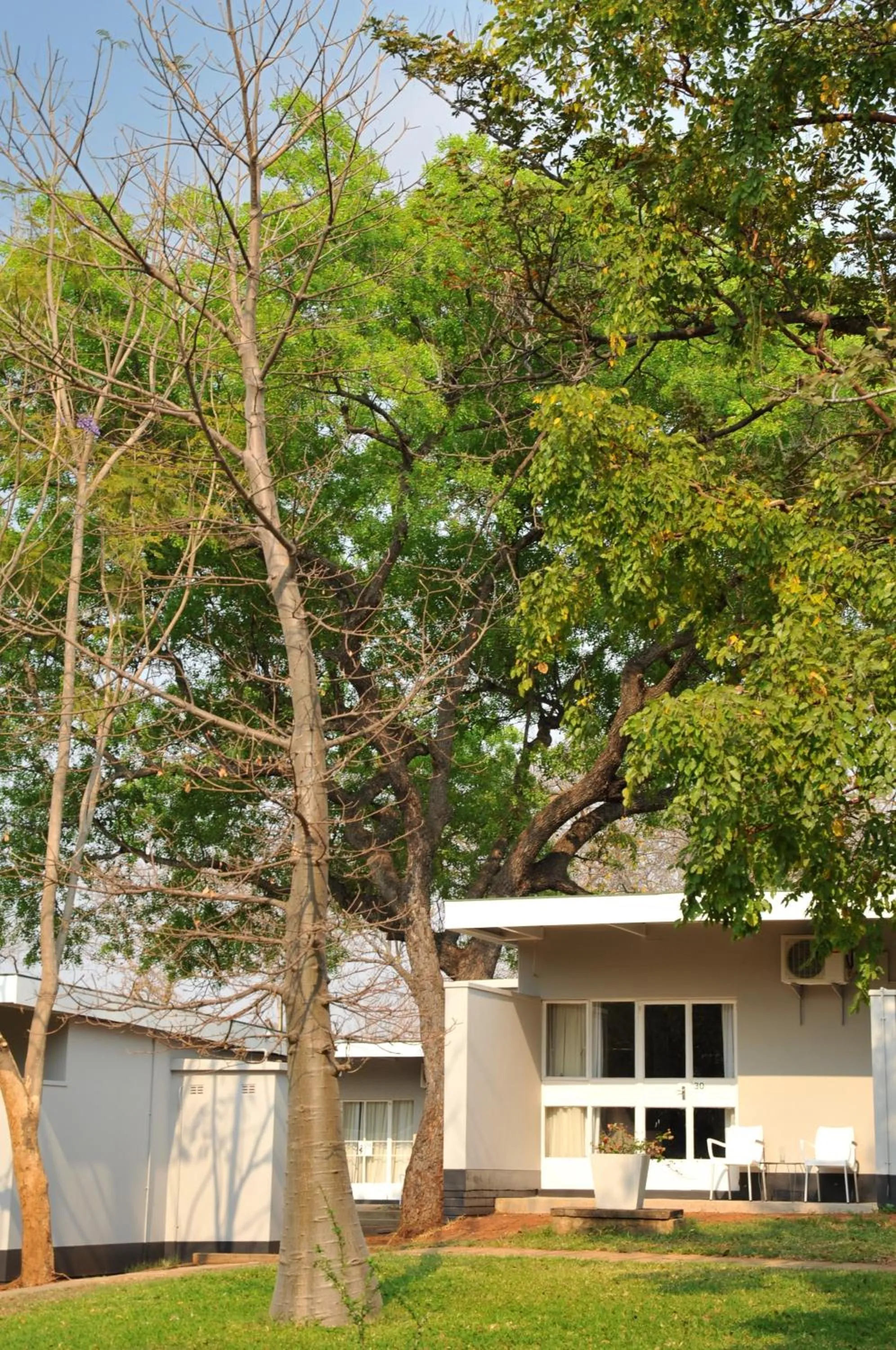 Property building in Cresta Sprayview Victoria Falls