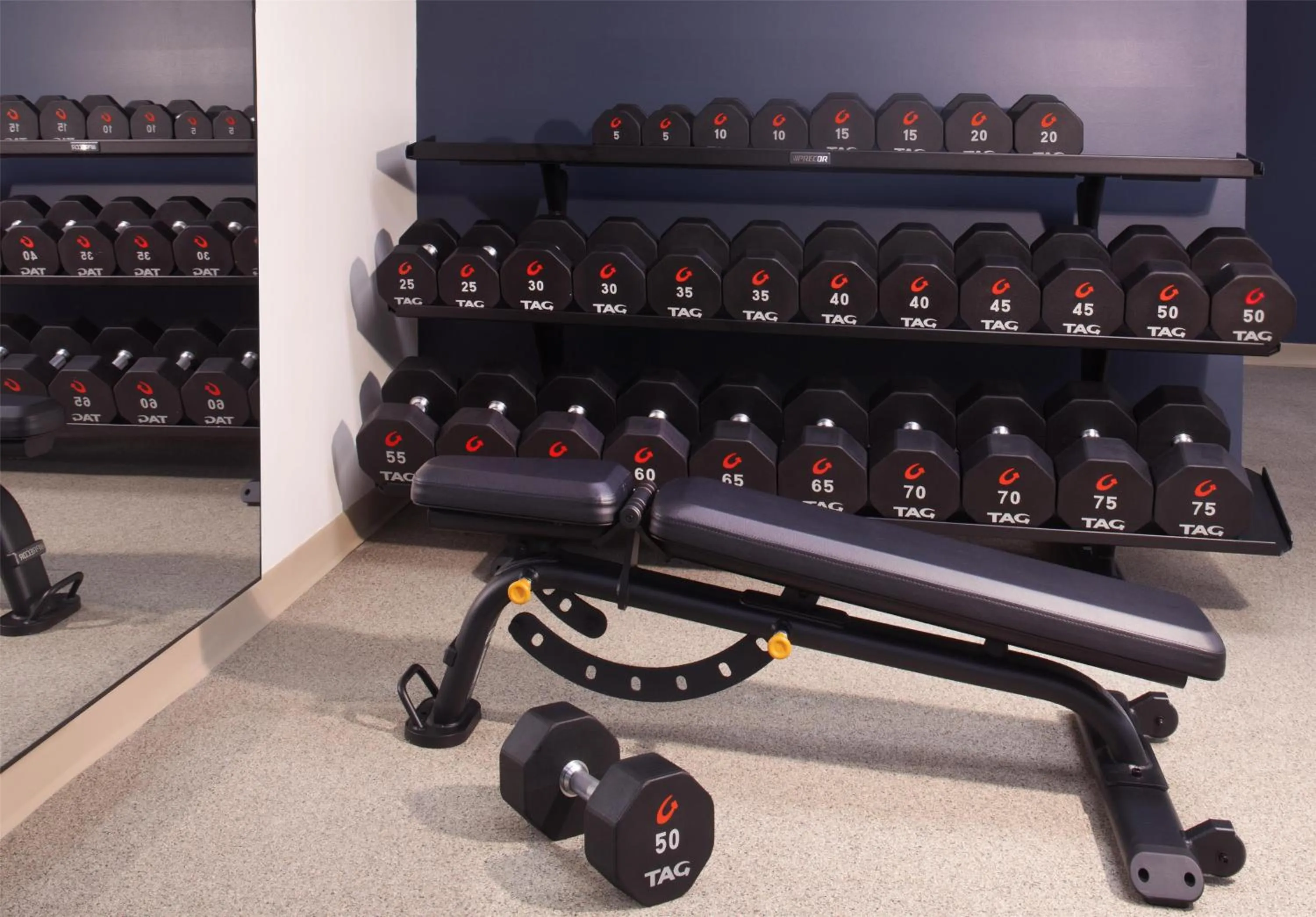 Fitness centre/facilities in Hotel Royer Urbana Champaign, Tapestry Collection by Hilton