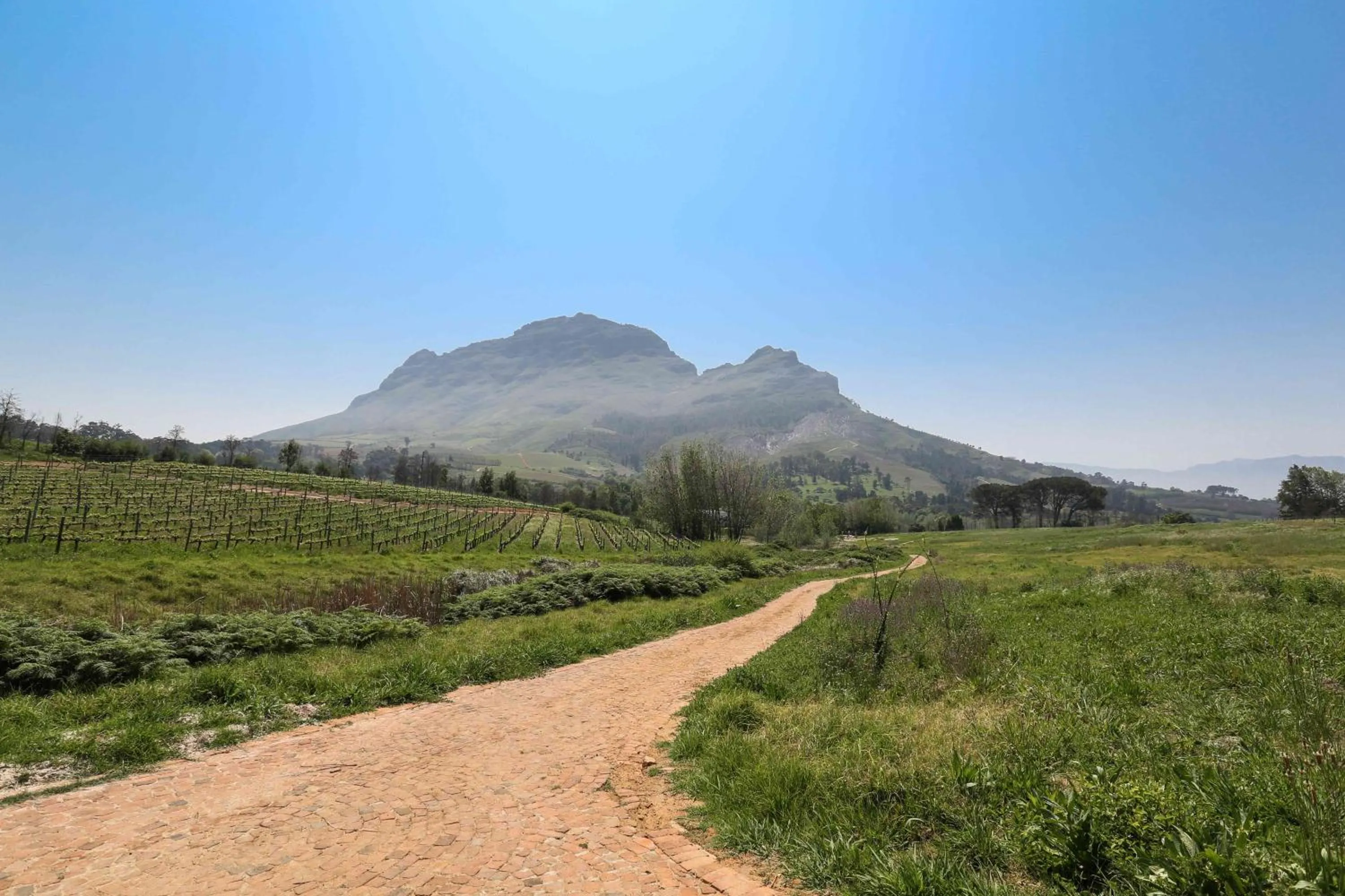 Mountain view in Le Pommier Wine Estate