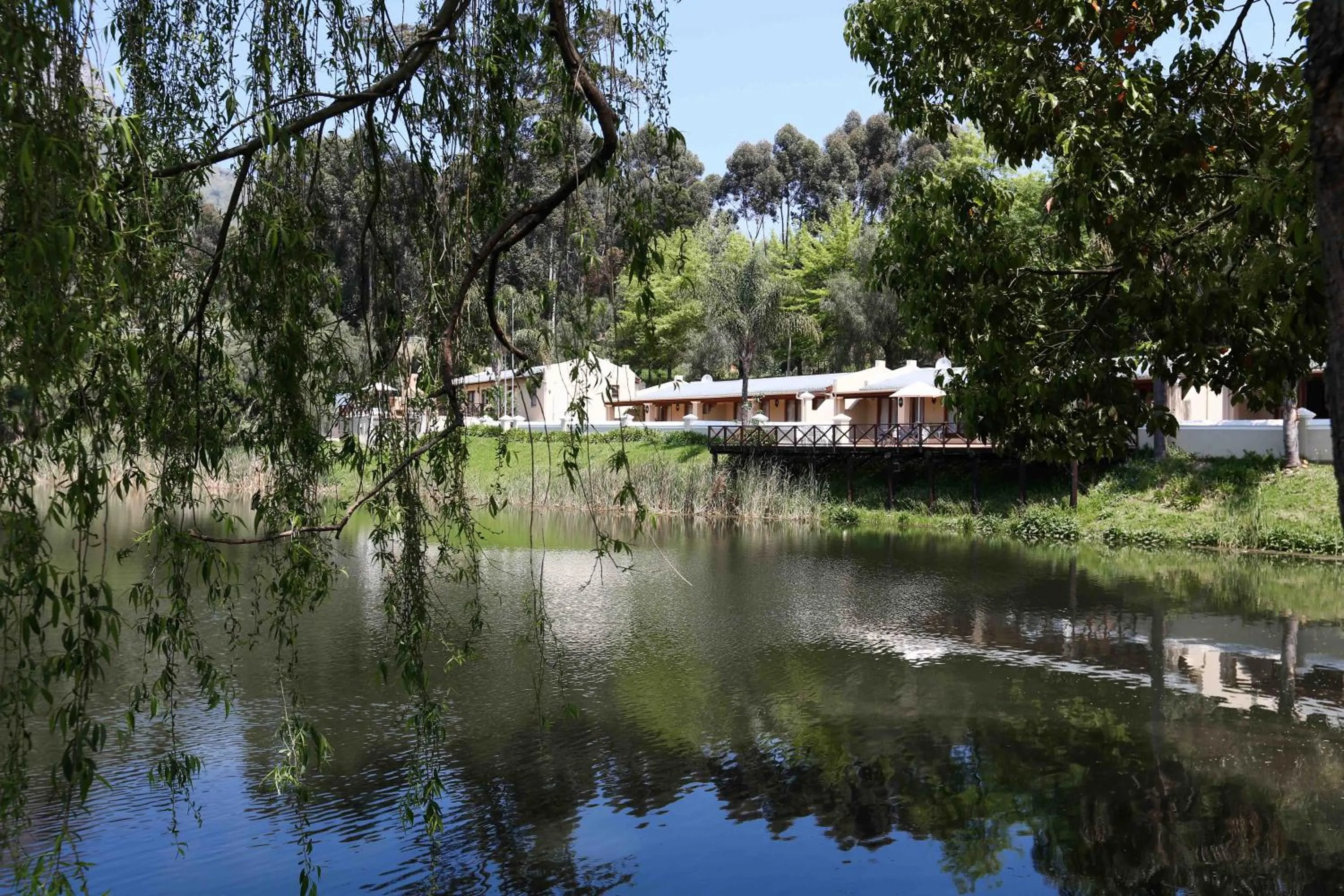 Natural landscape in Le Pommier Wine Estate