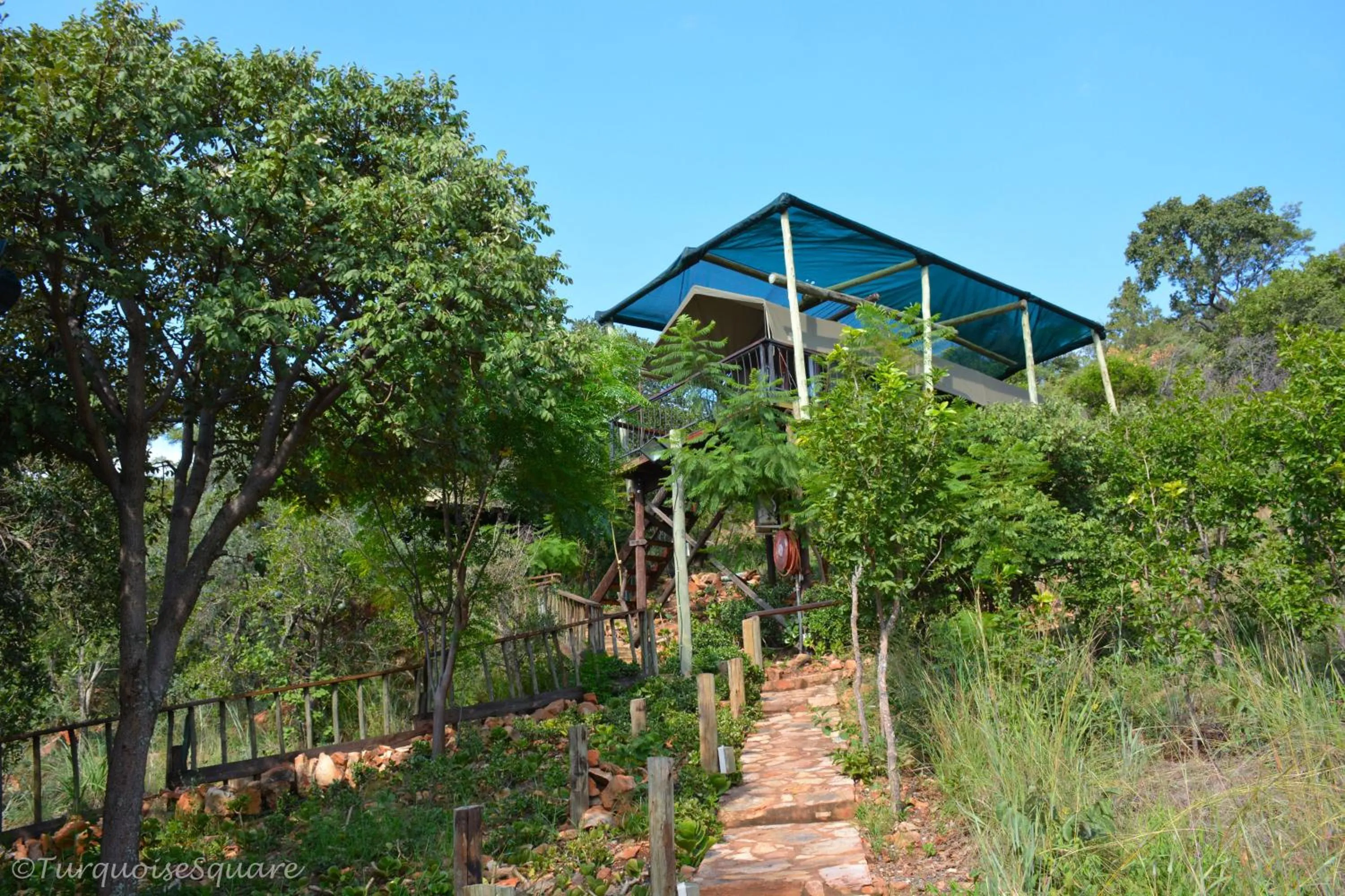 Garden in La Montagne Guest Lodge
