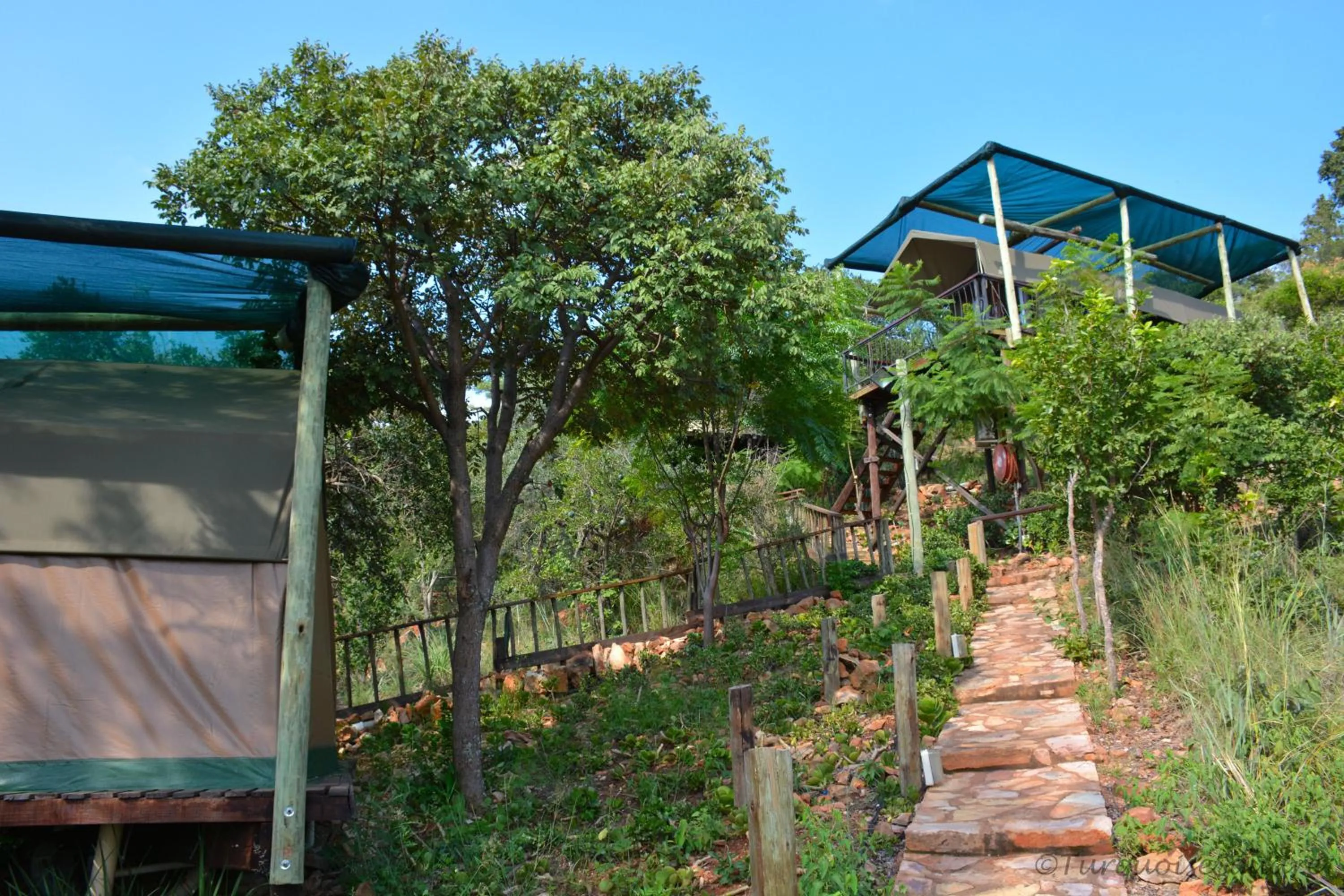 Garden in La Montagne Guest Lodge