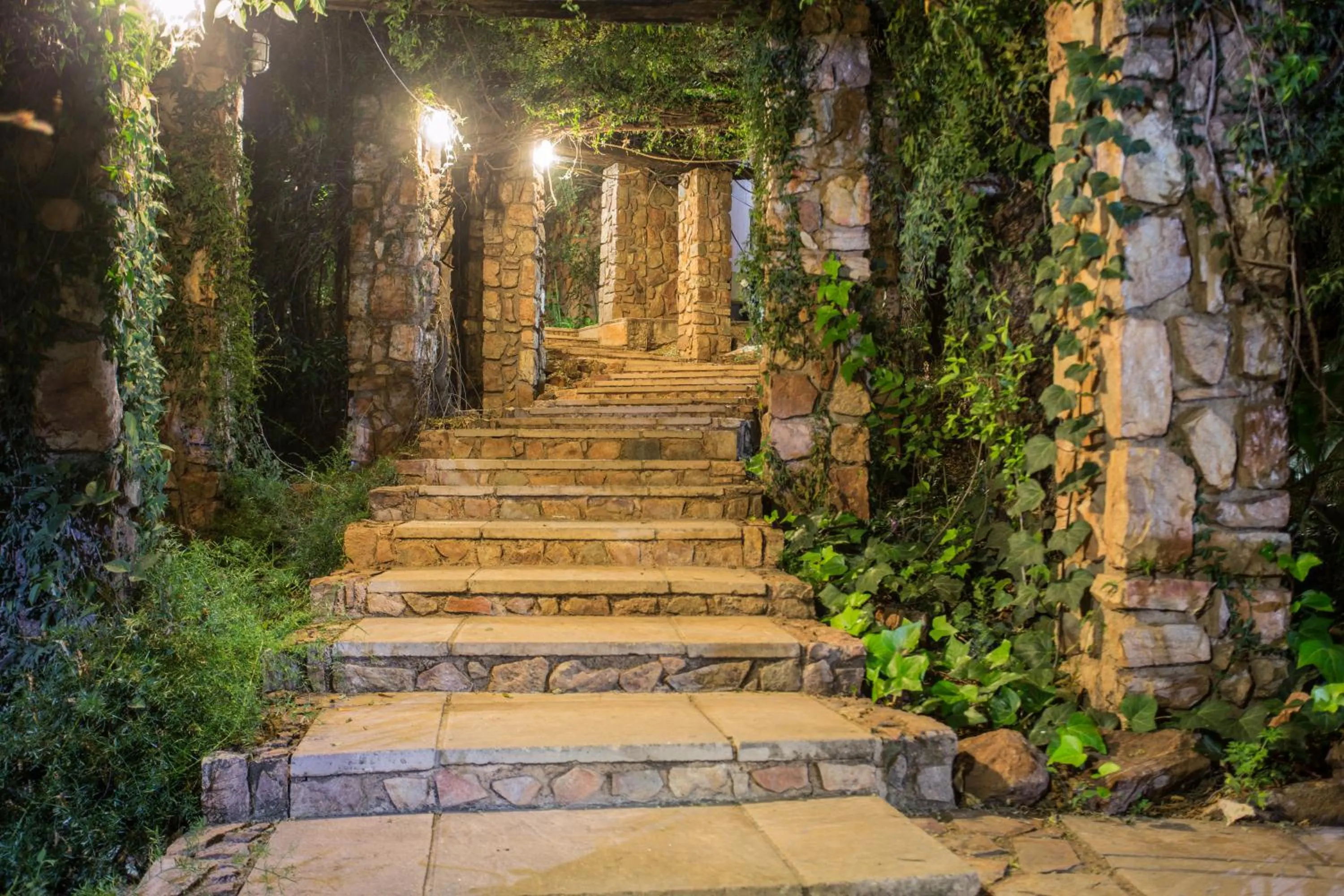 Garden in La Montagne Guest Lodge