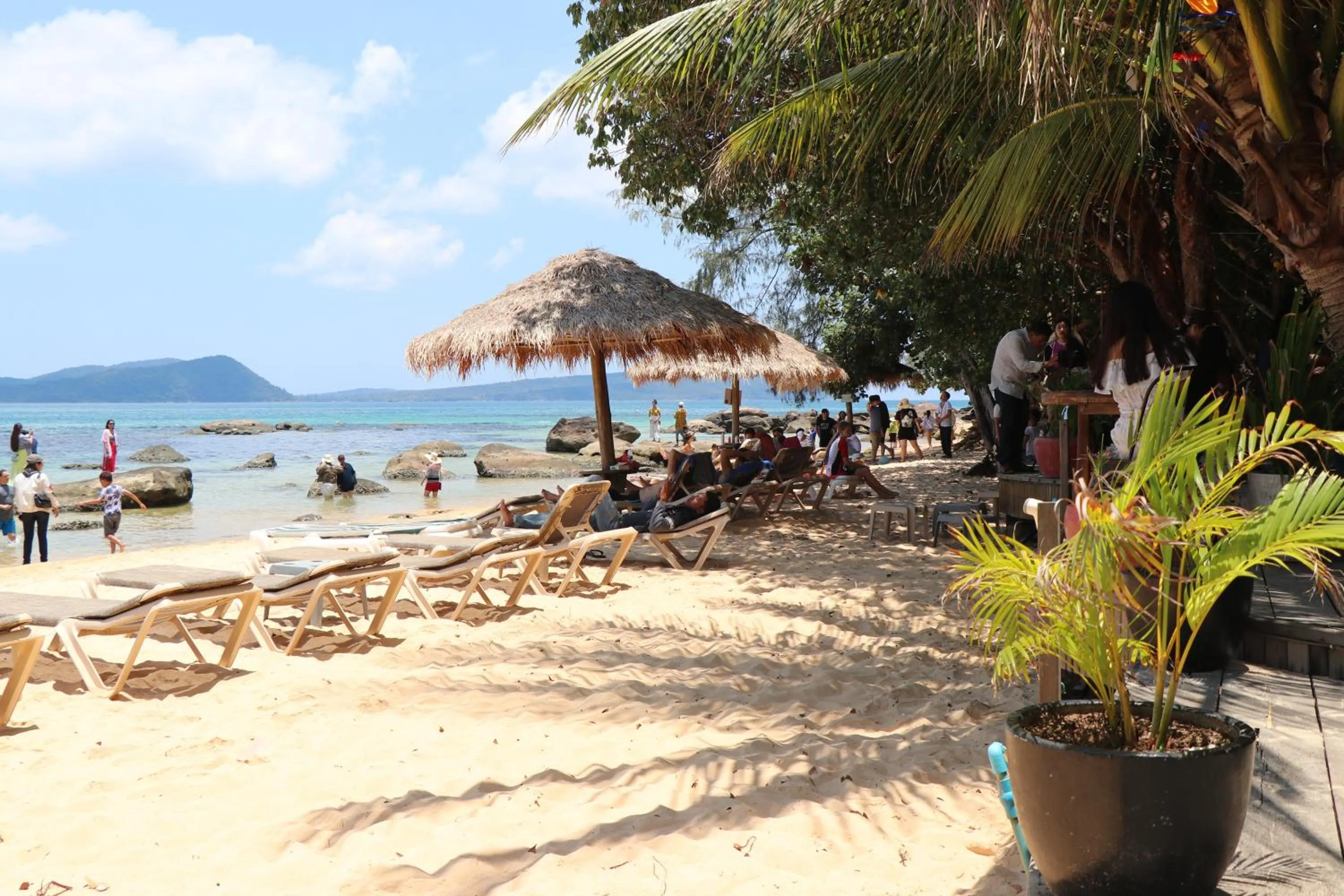 Beach in Tree House Bungalows
