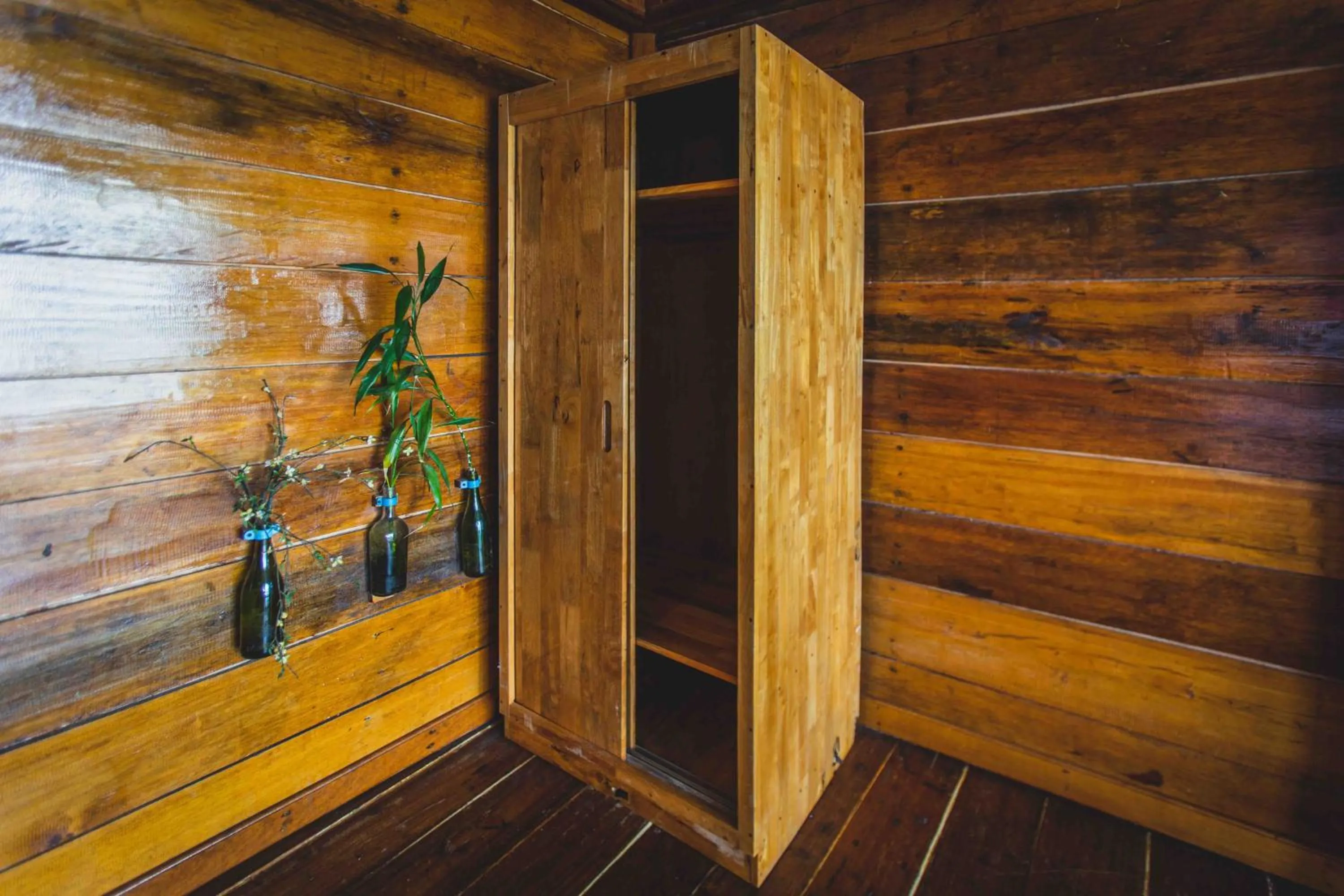 Tree House Bungalows