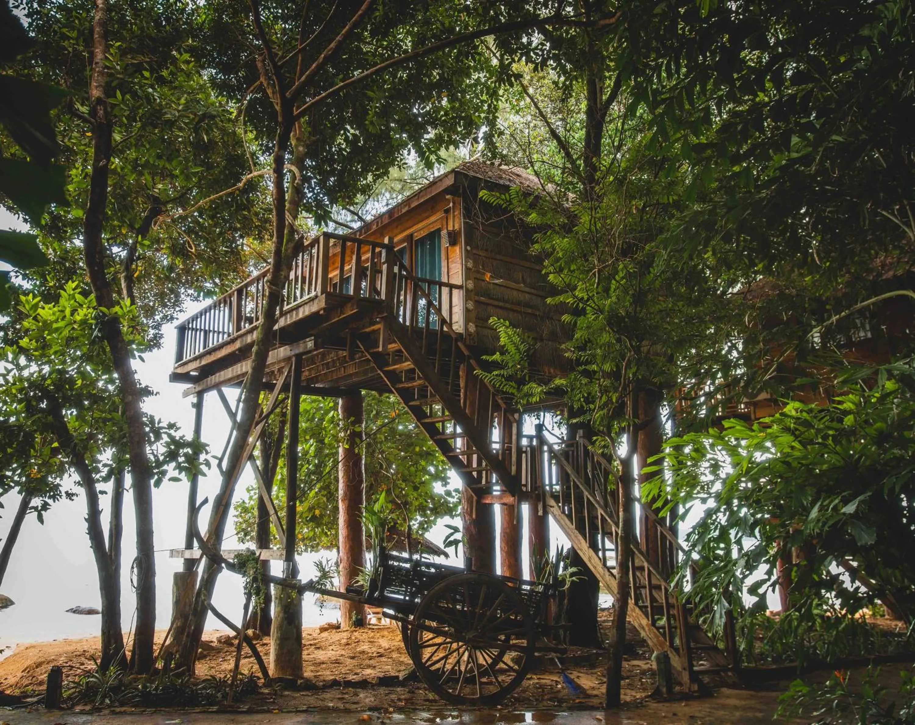 Tree House Bungalows