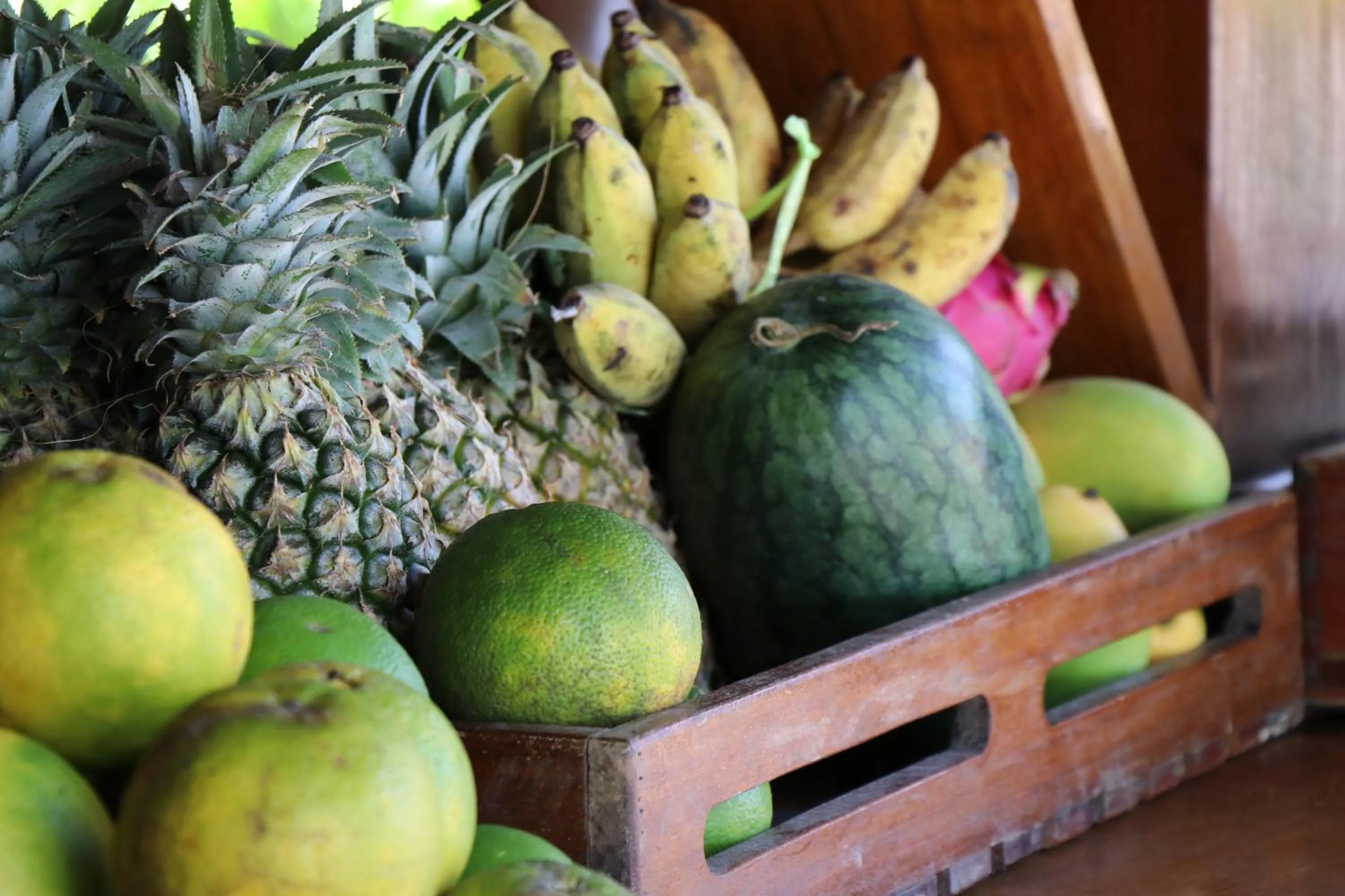 Food in Tree House Bungalows