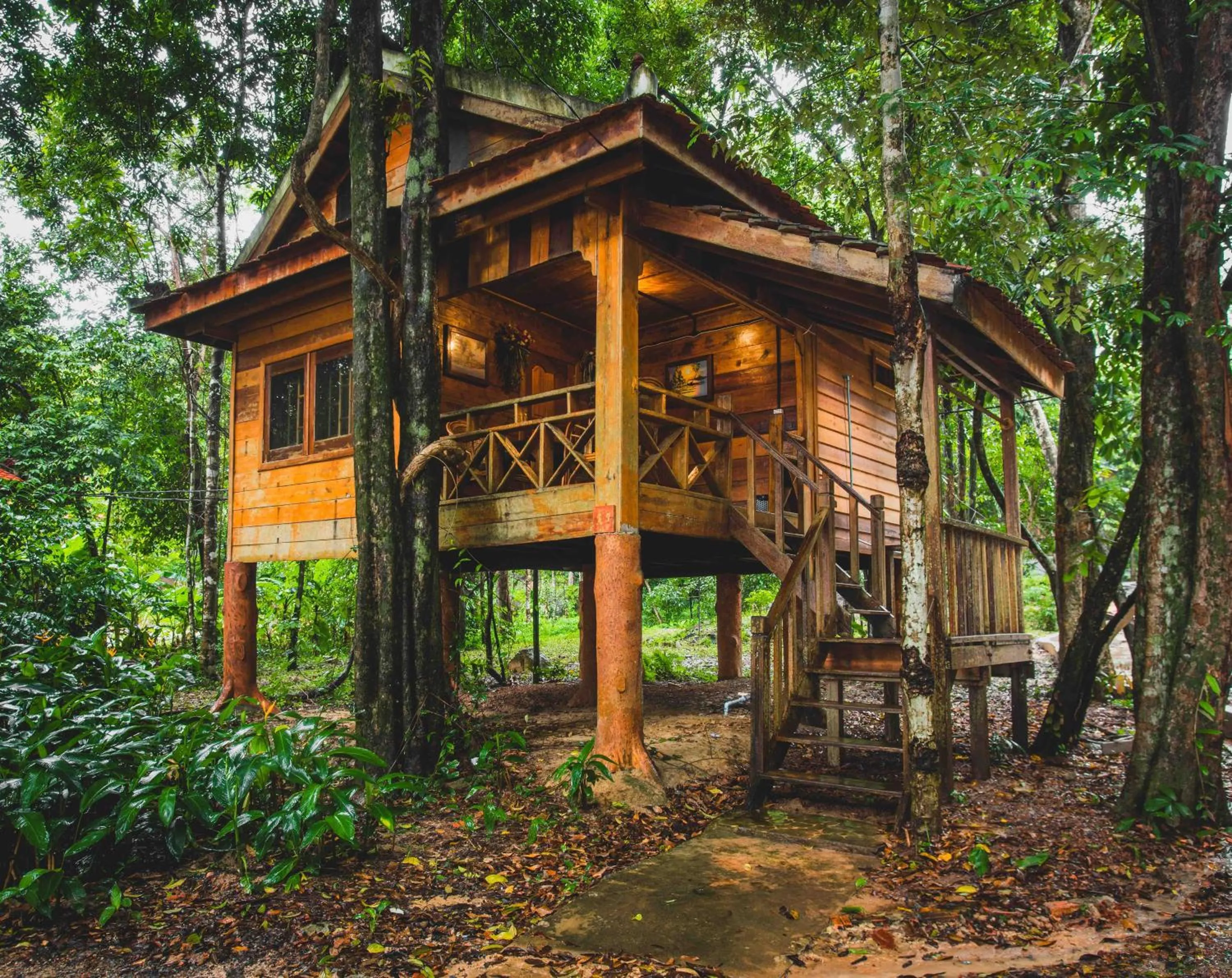 Tree House Bungalows