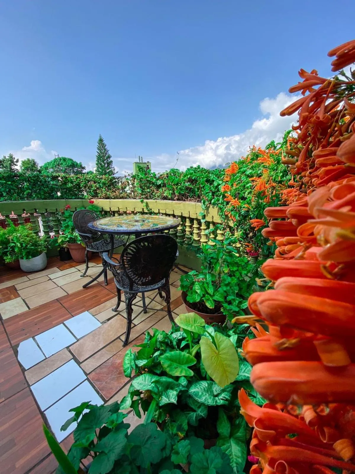 Balcony/Terrace in Hotel Casa Texel