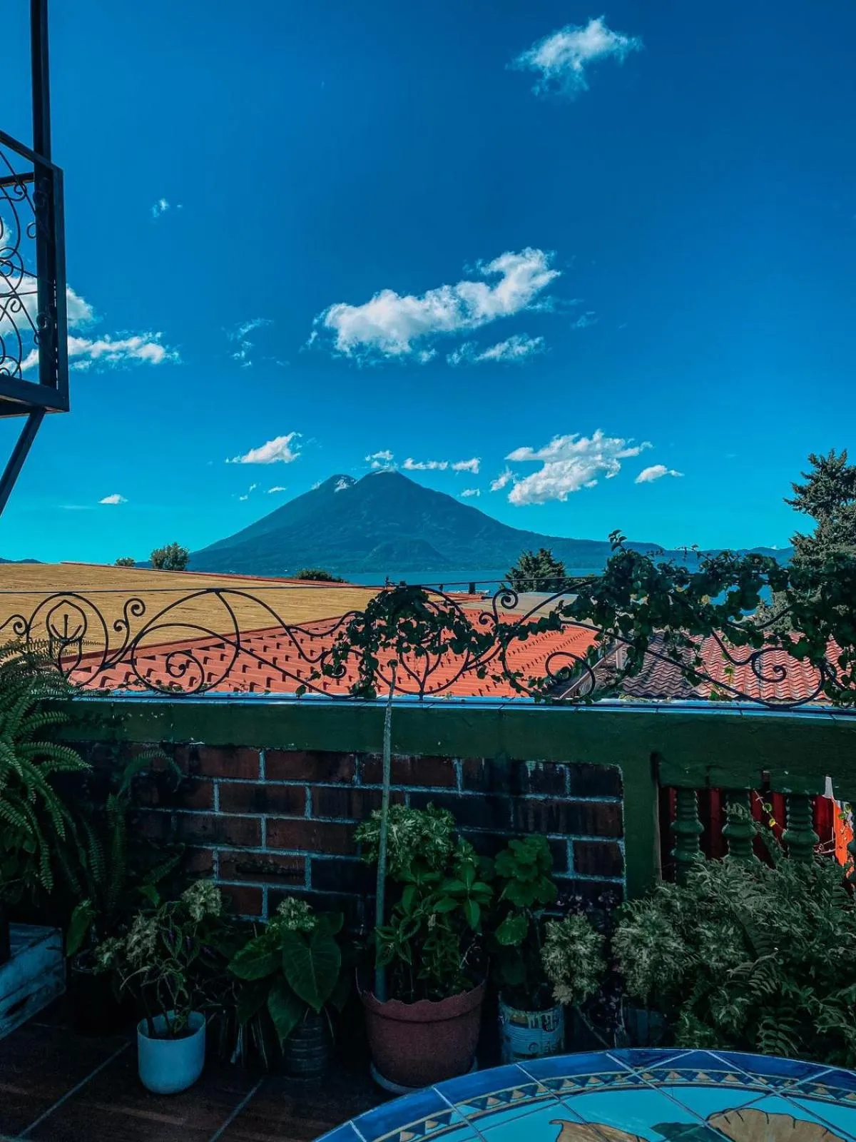 Balcony/Terrace in Hotel Casa Texel