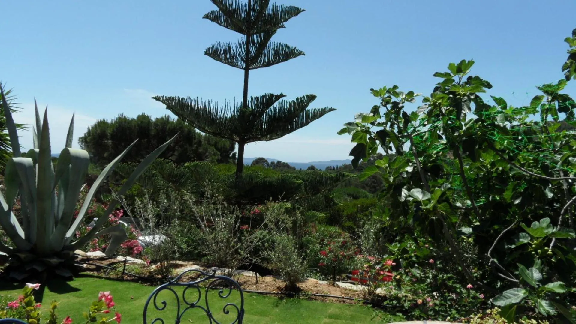 Villa Carpe Diem