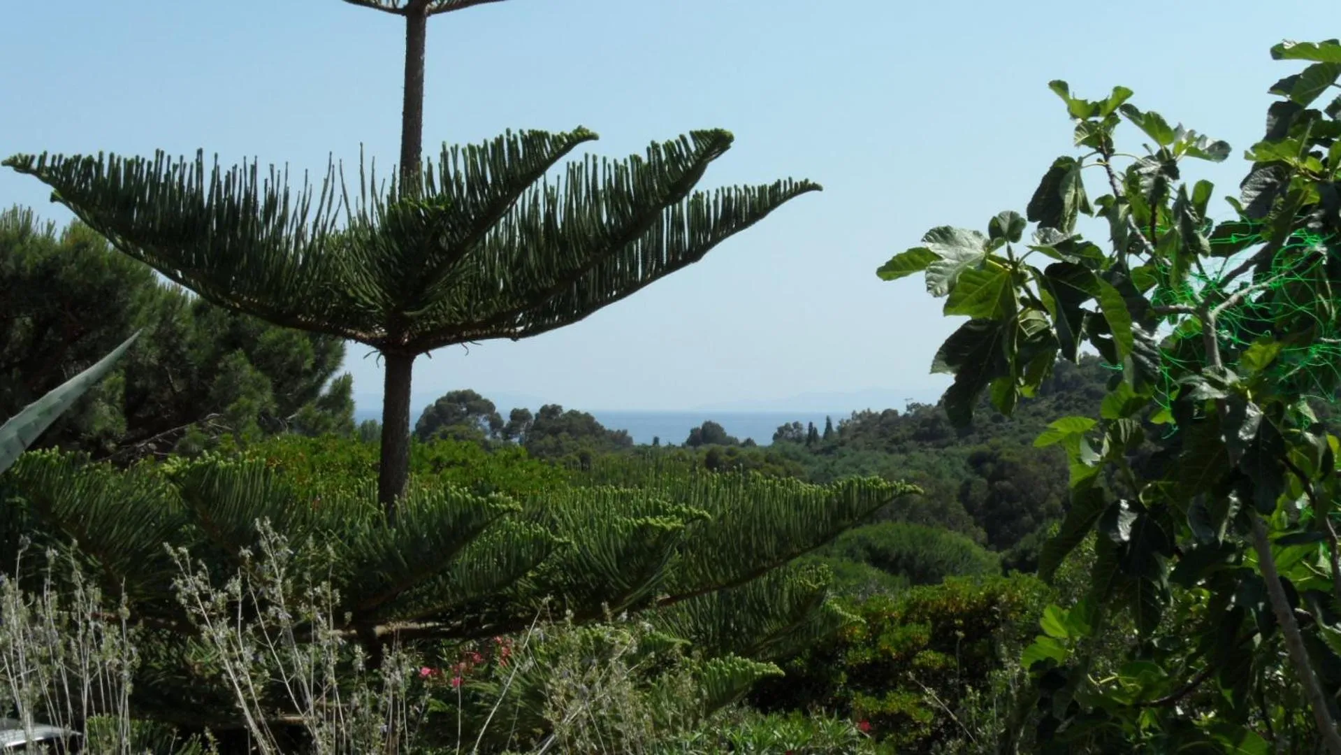 Villa Carpe Diem