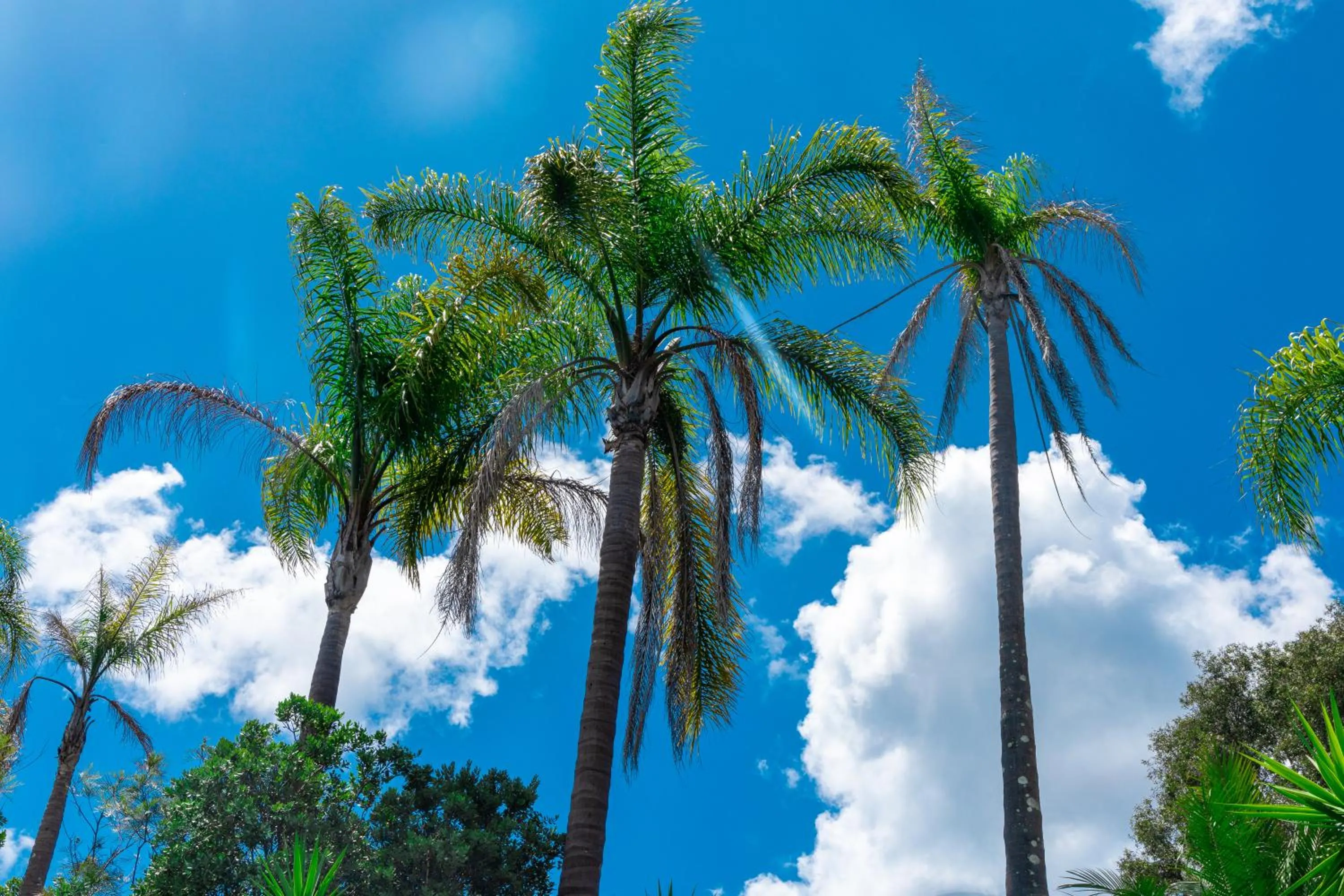 Natural landscape in Gosford Inn Motel
