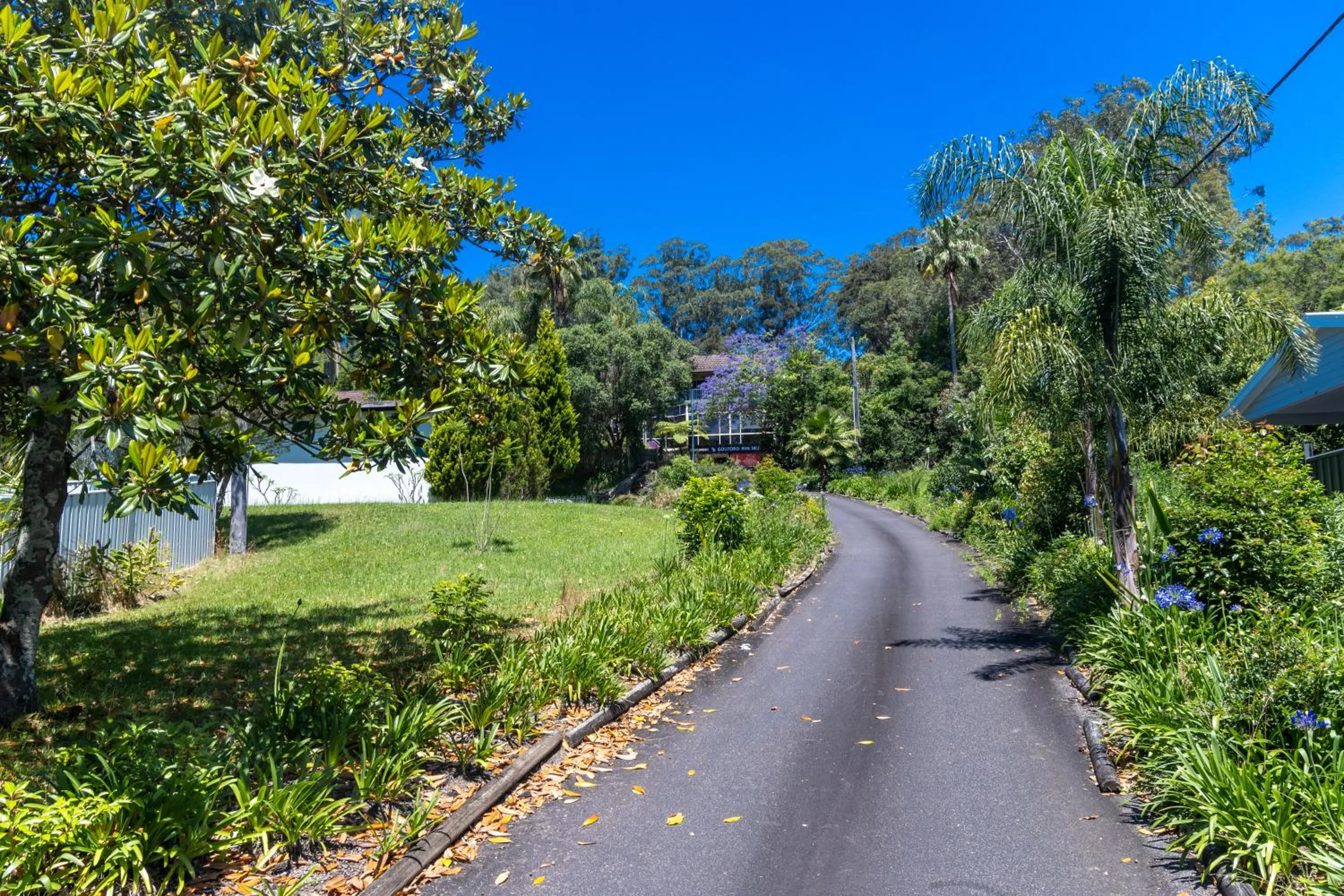 Natural landscape in Gosford Inn Motel