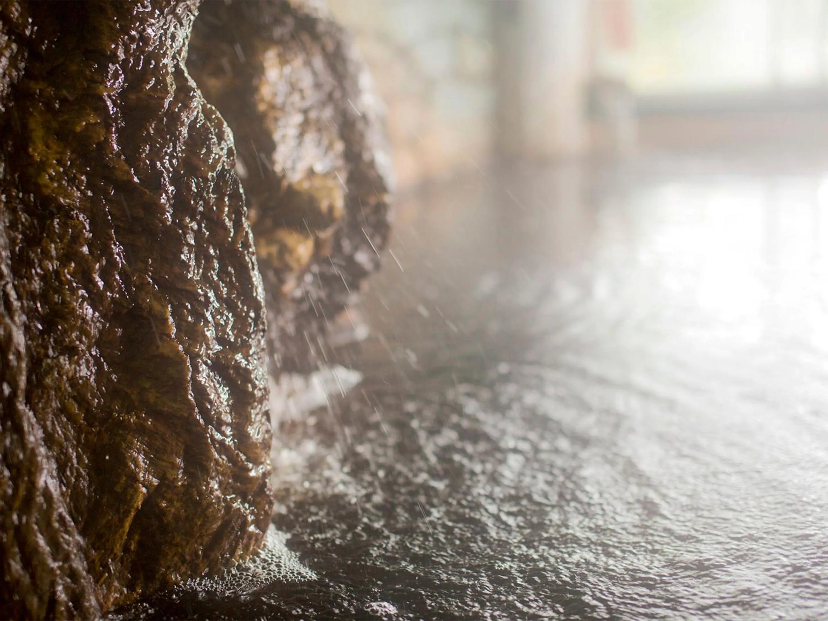 Hot Spring Bath in Kameyama Onsen Hotel