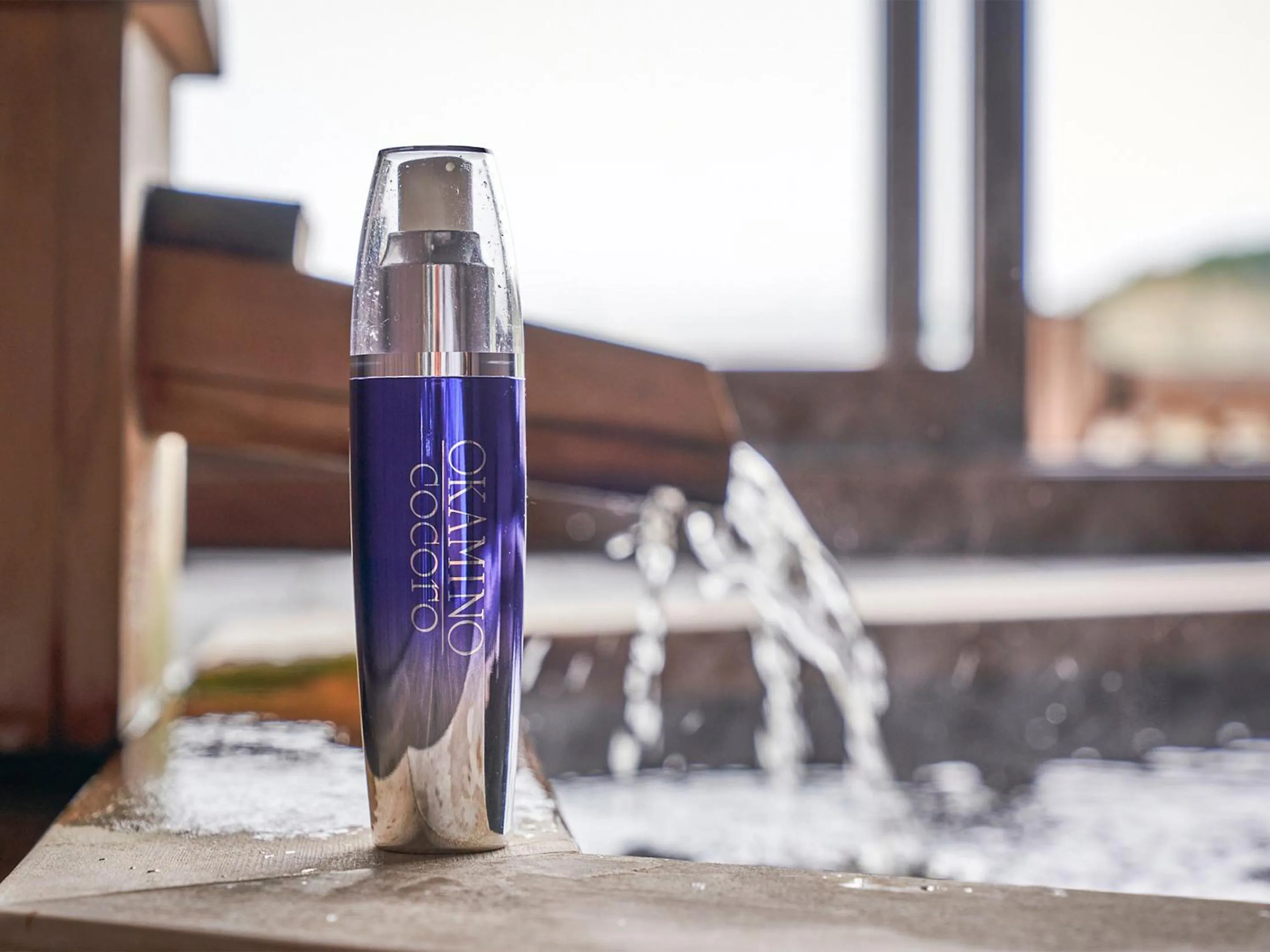 Area and facilities in Kameyama Onsen Hotel