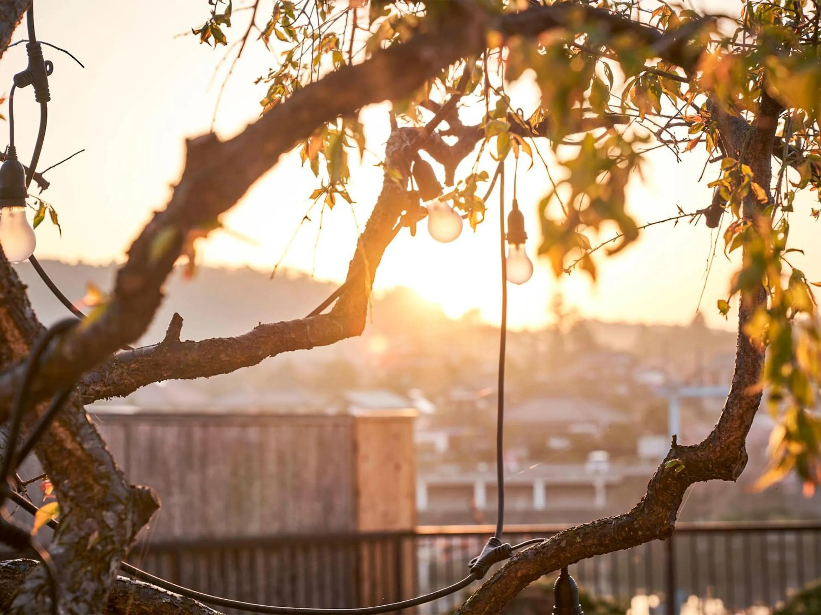 Area and facilities in Kameyama Onsen Hotel