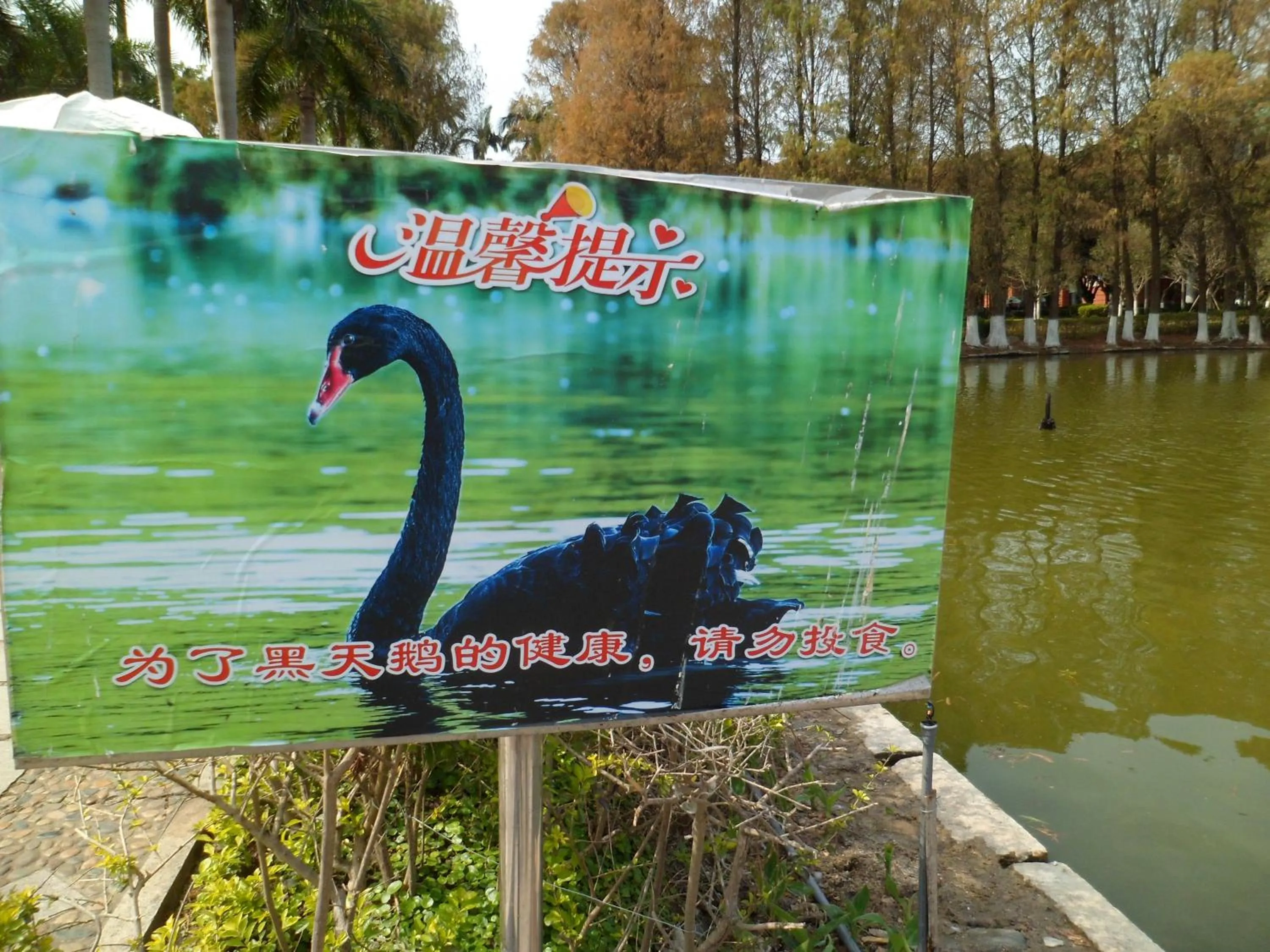 Other in City Hotel Xiamen-Free Welcome Fruits