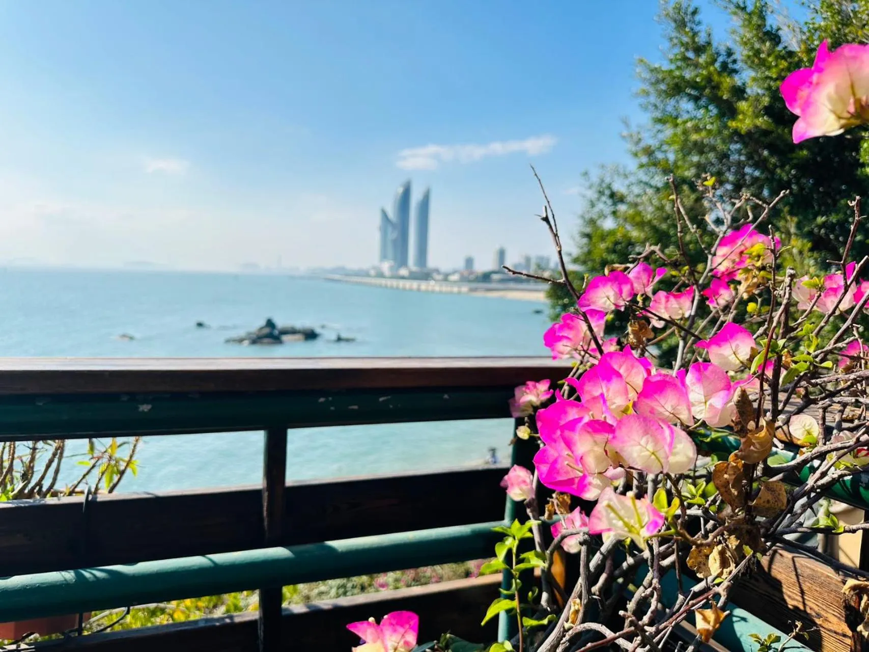 Other in City Hotel Xiamen-Free Welcome Fruits