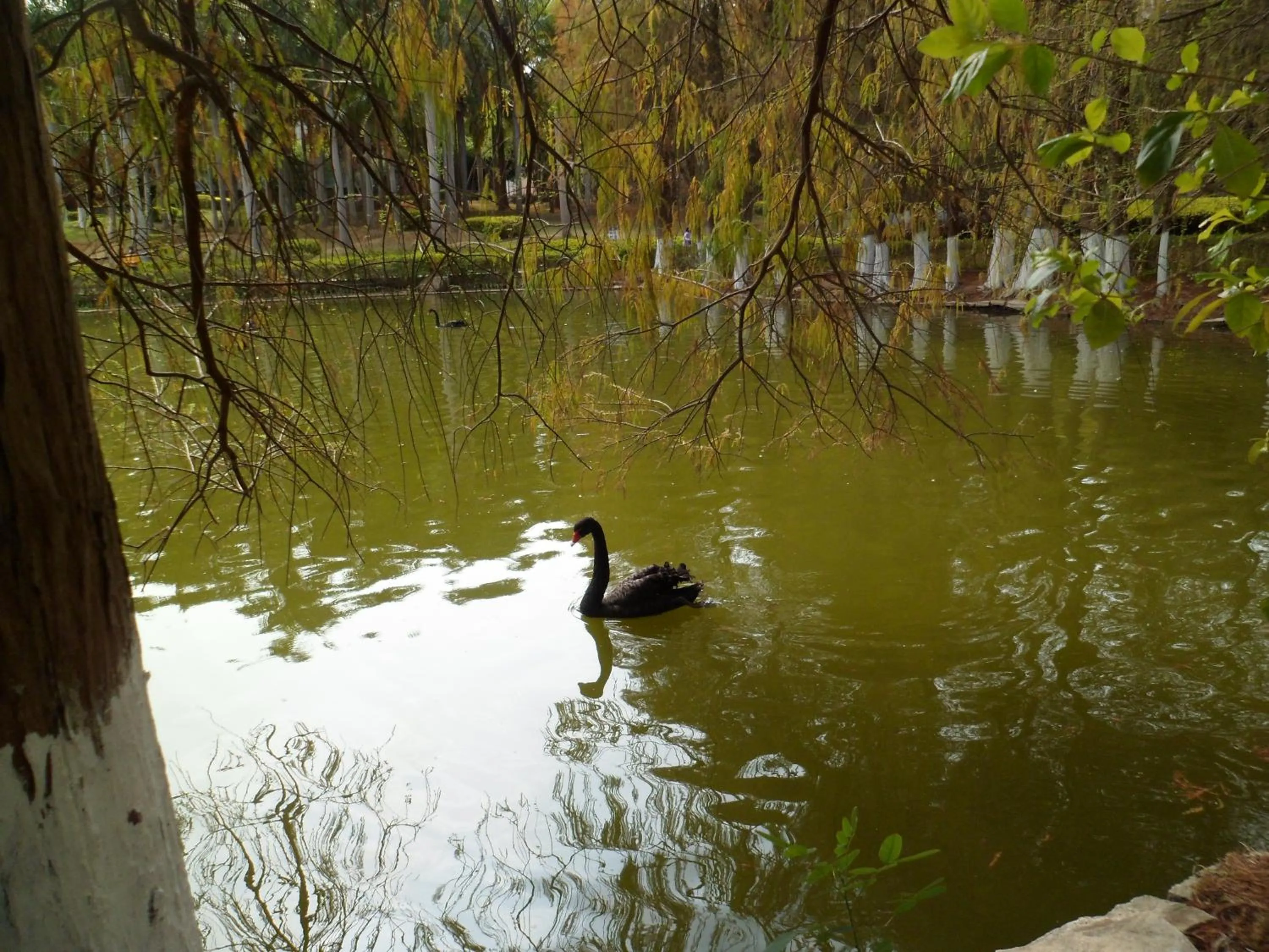Other in City Hotel Xiamen-Free Welcome Fruits