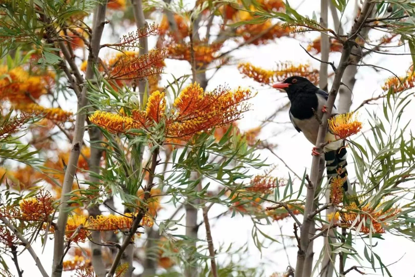 Property building in City Hotel Xiamen-Free Welcome Fruits