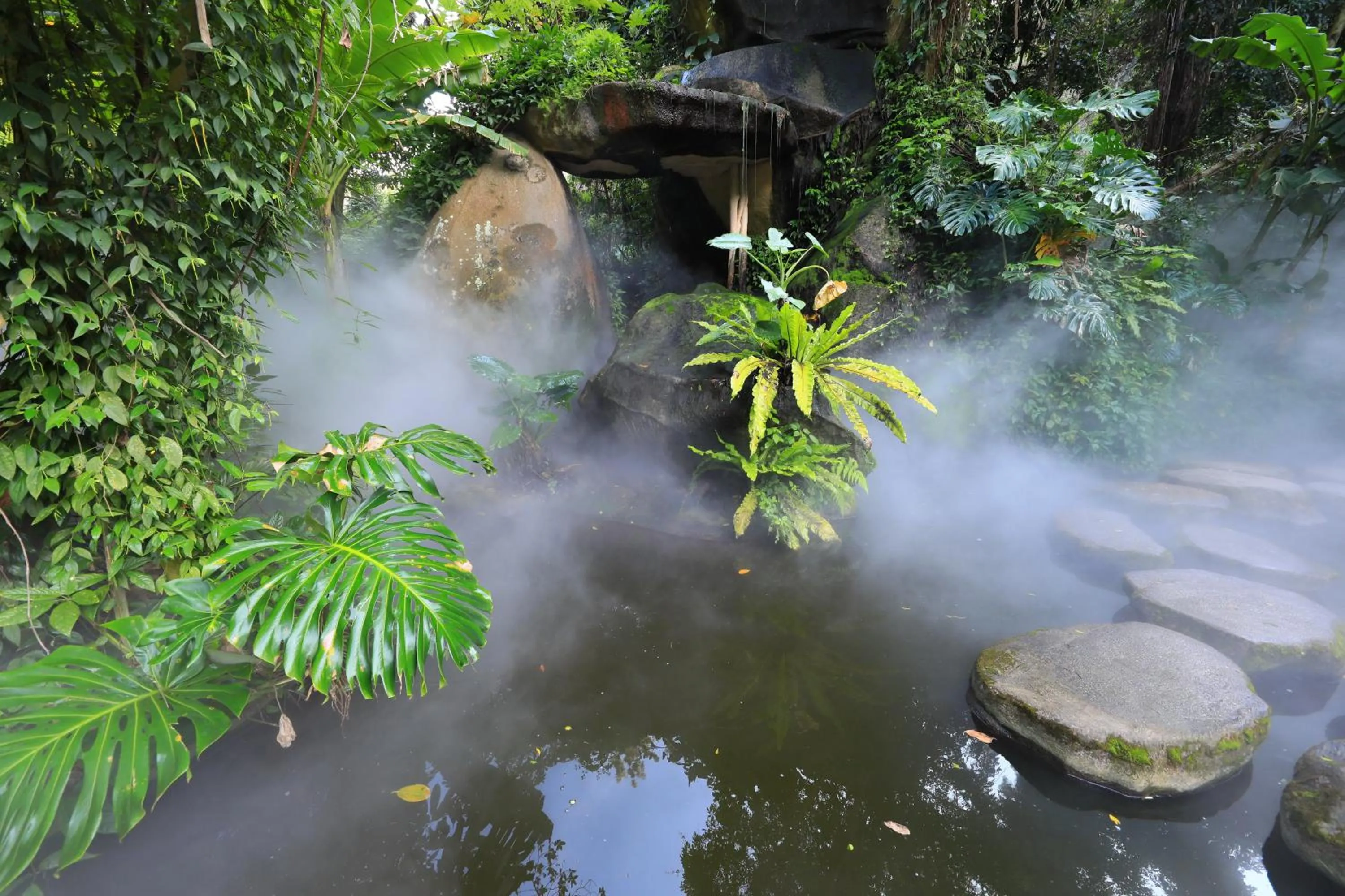 Other in City Hotel Xiamen-Free Welcome Fruits