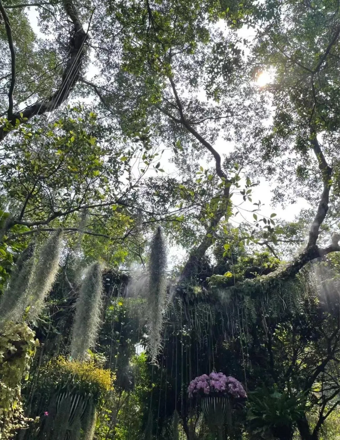Other in City Hotel Xiamen-Free Welcome Fruits