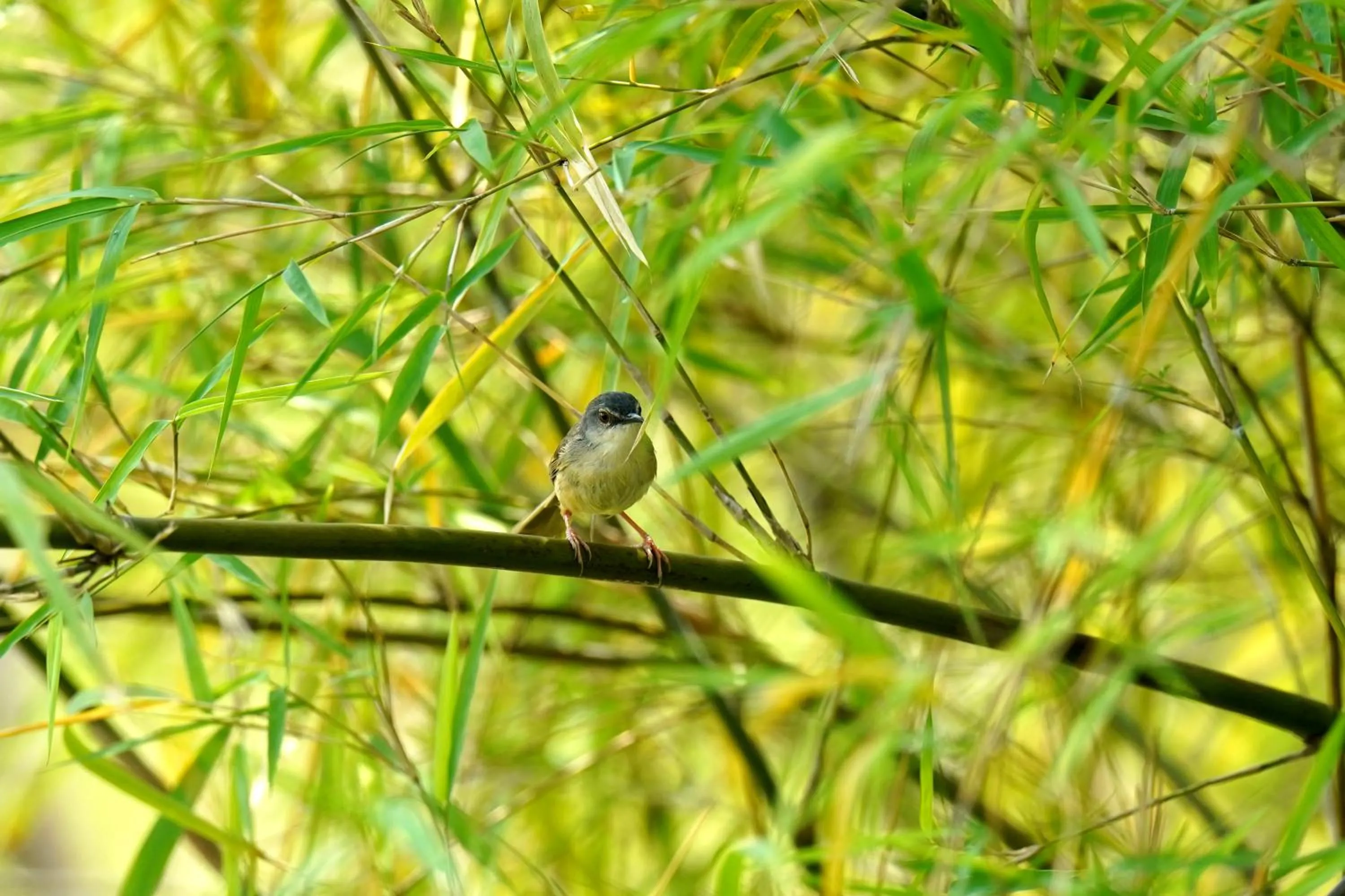 Property building in City Hotel Xiamen-Free Welcome Fruits