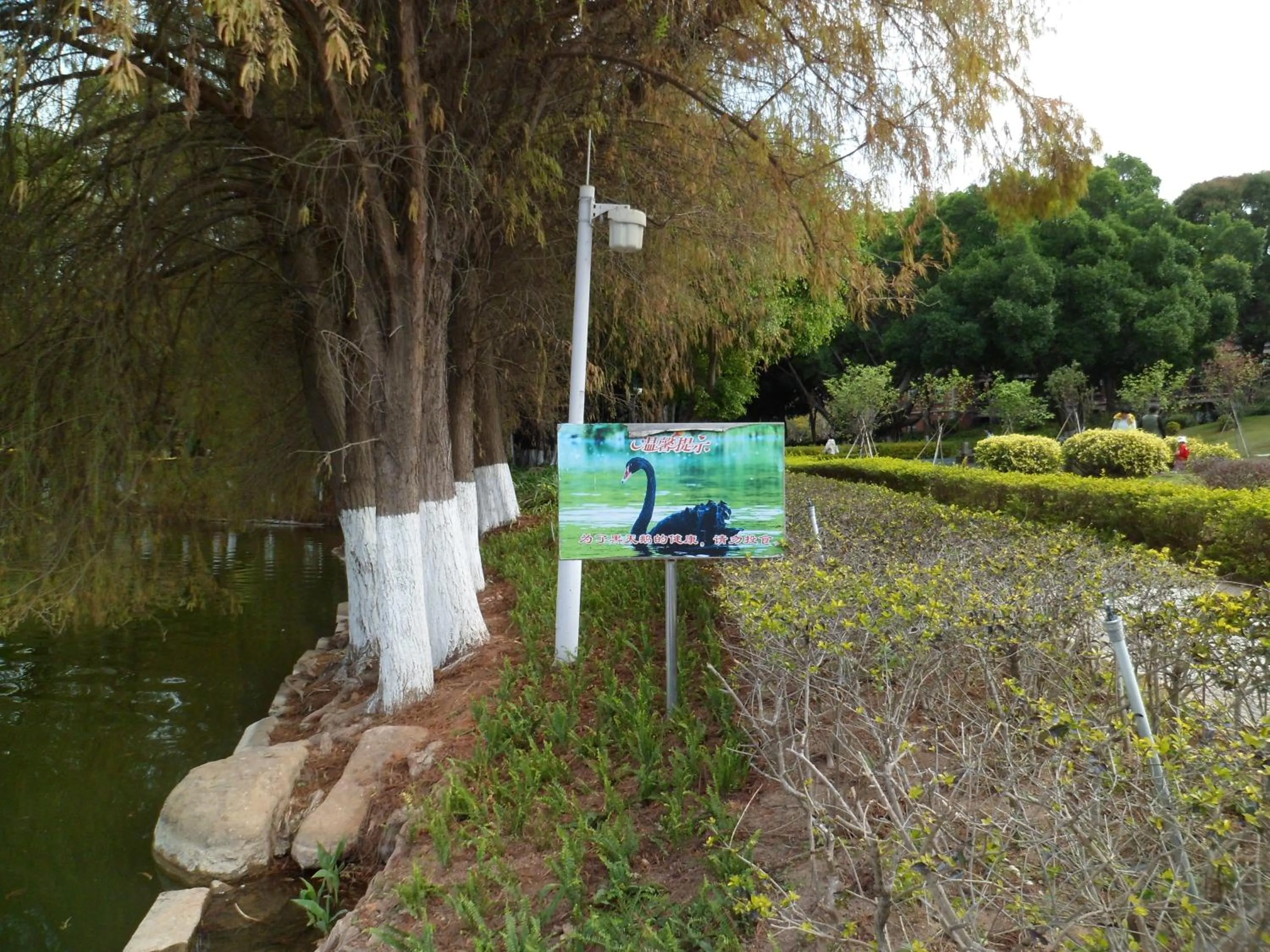 Other in City Hotel Xiamen-Free Welcome Fruits