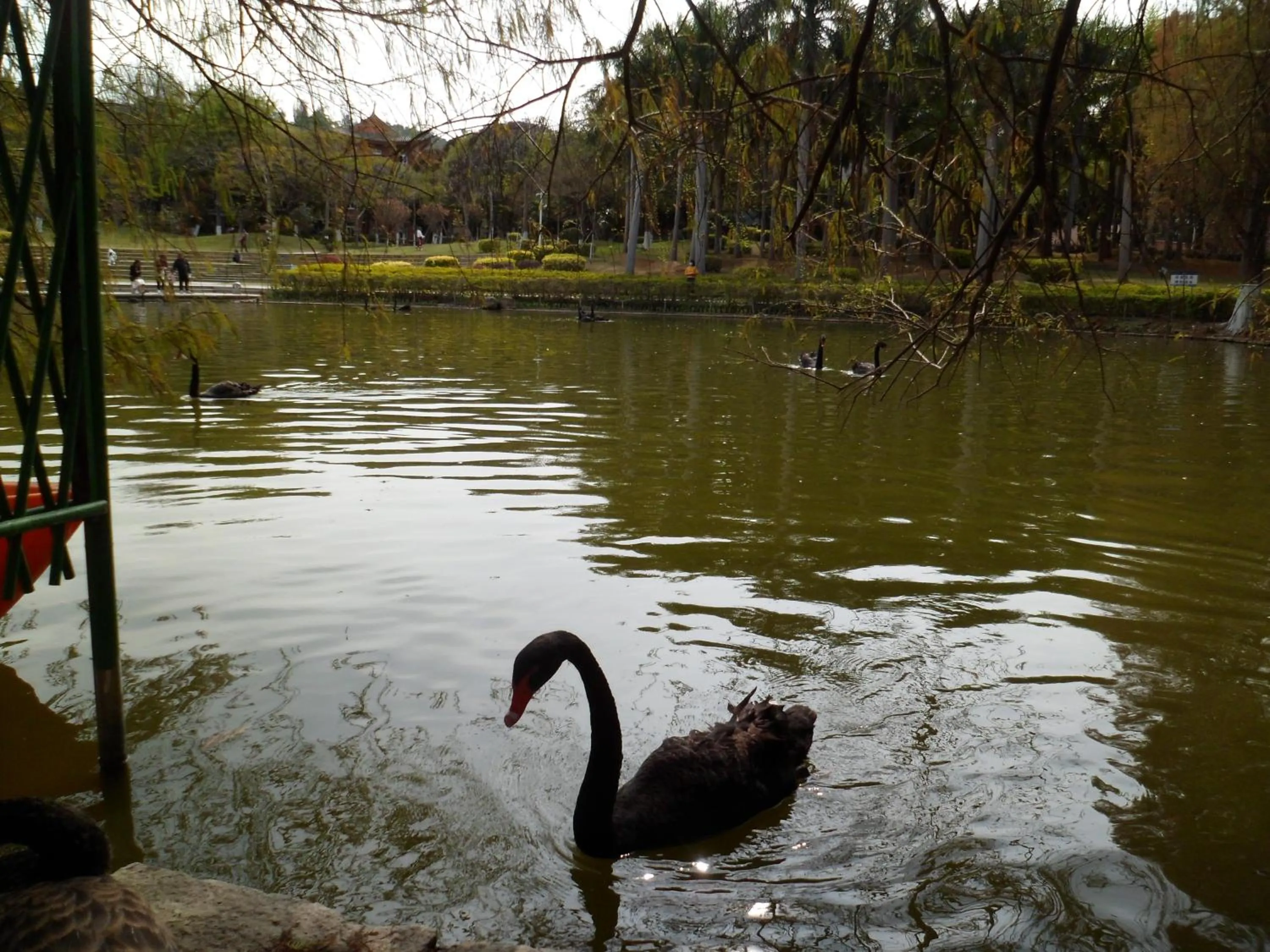 Other in City Hotel Xiamen-Free Welcome Fruits