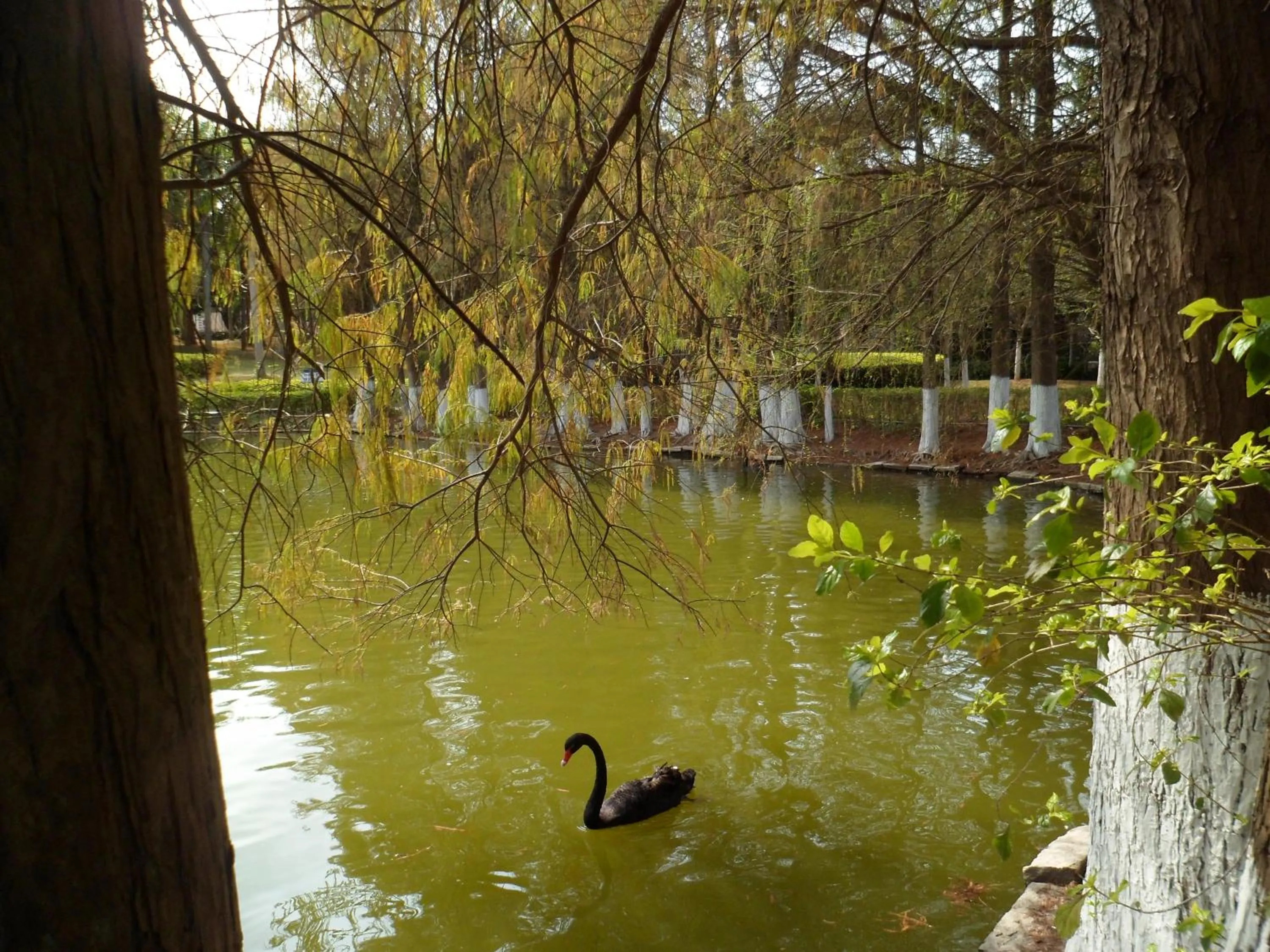 Other in City Hotel Xiamen-Free Welcome Fruits