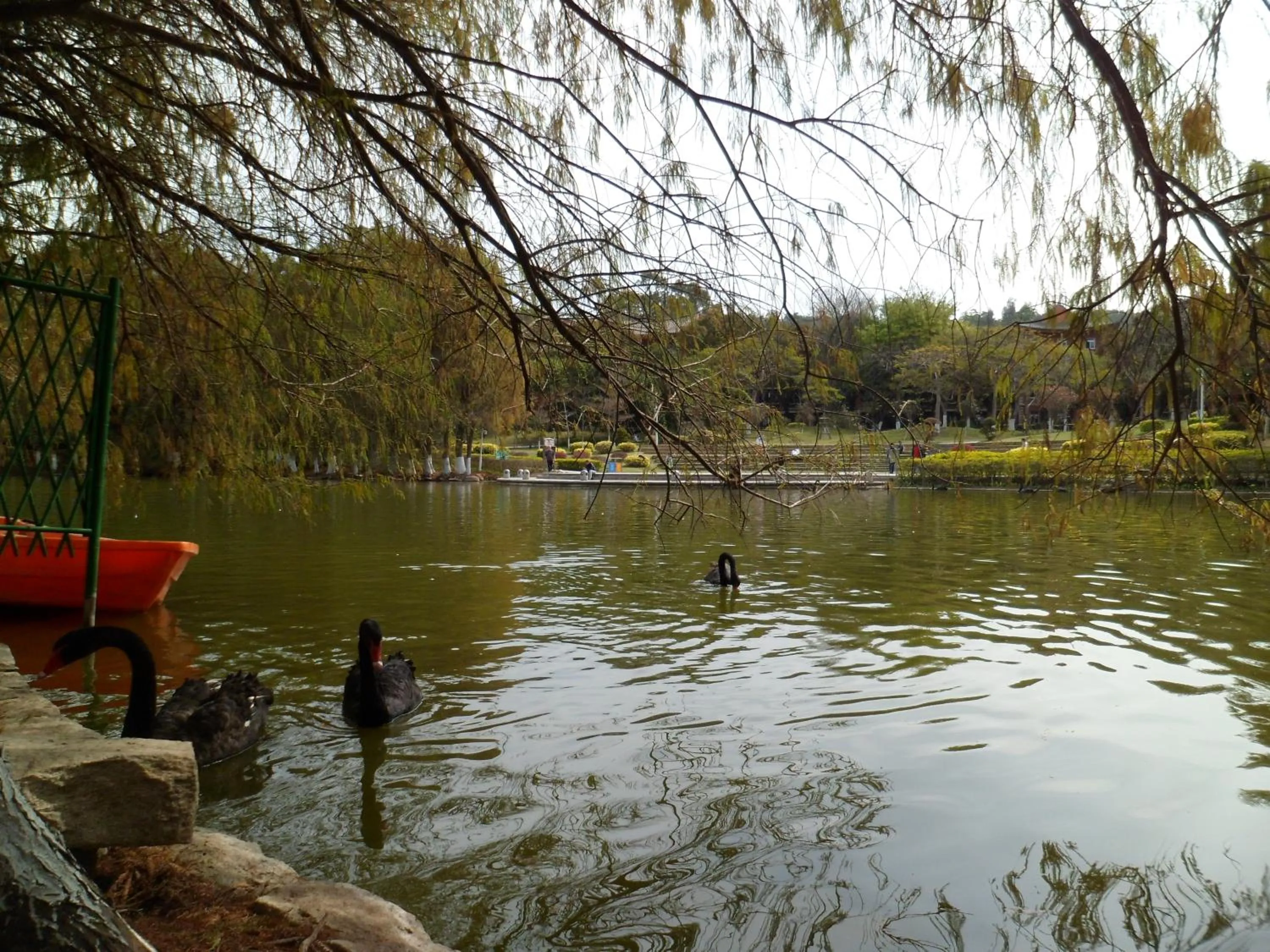 Other in City Hotel Xiamen-Free Welcome Fruits