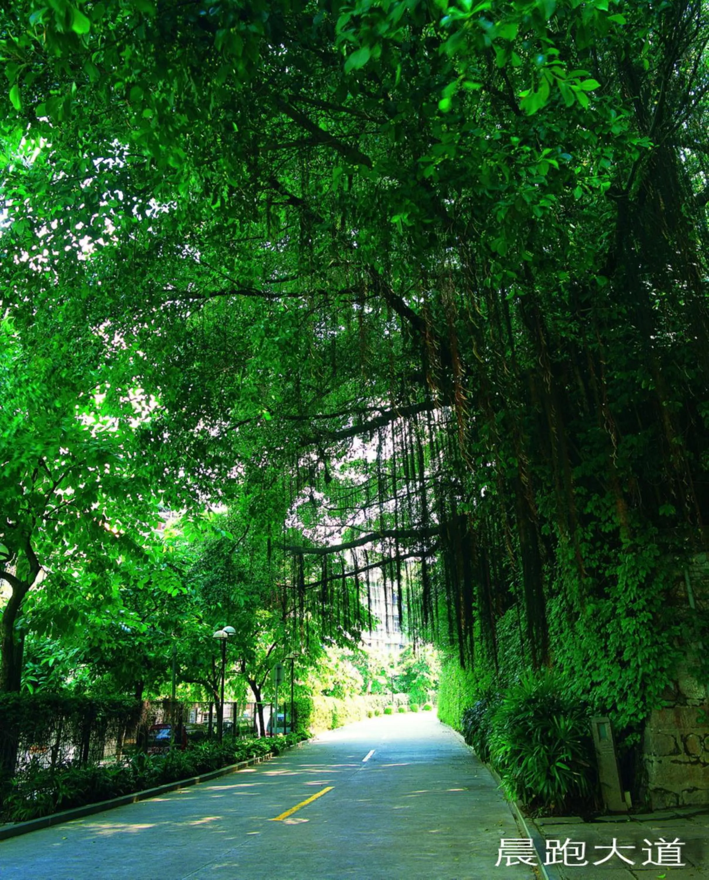 Property building in City Hotel Xiamen-Free Welcome Fruits