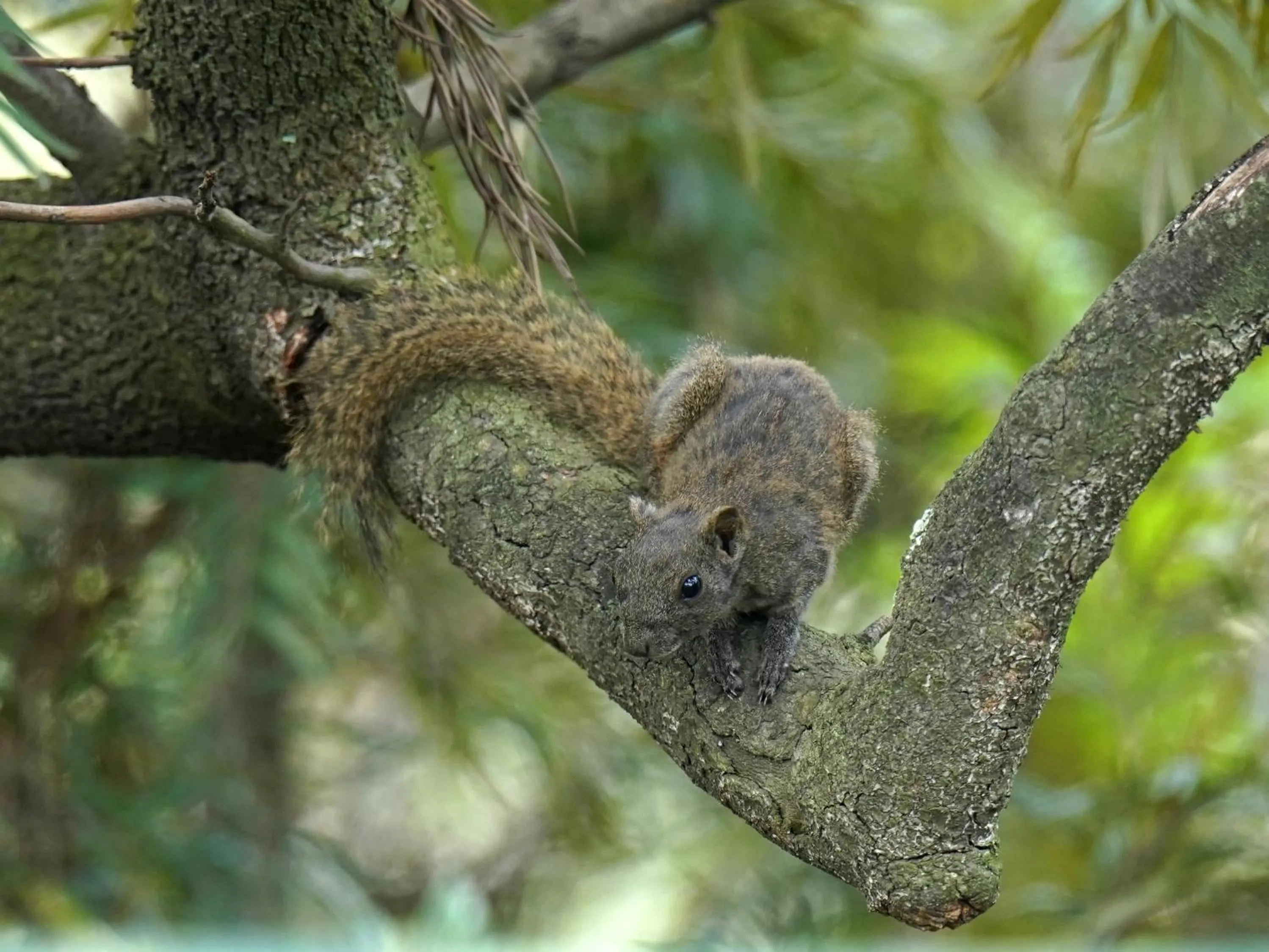 Property building in City Hotel Xiamen-Free Welcome Fruits