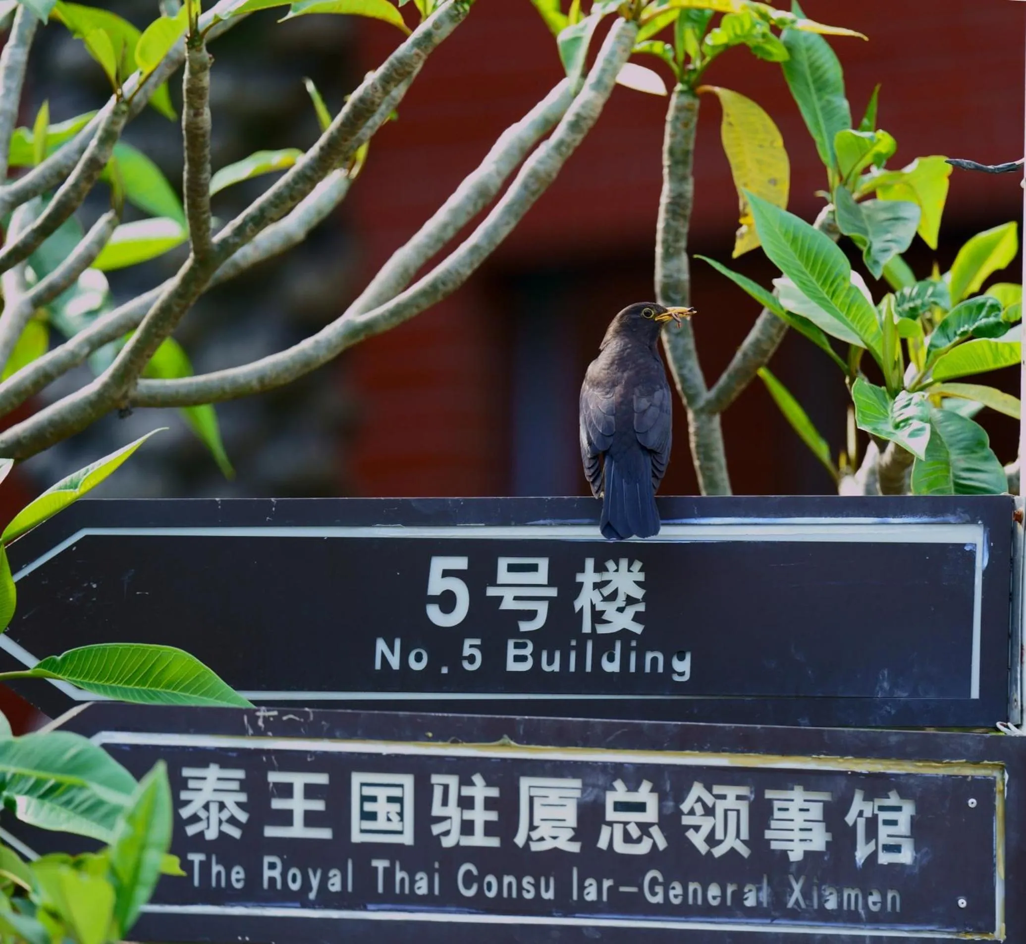 Property building in City Hotel Xiamen-Free Welcome Fruits