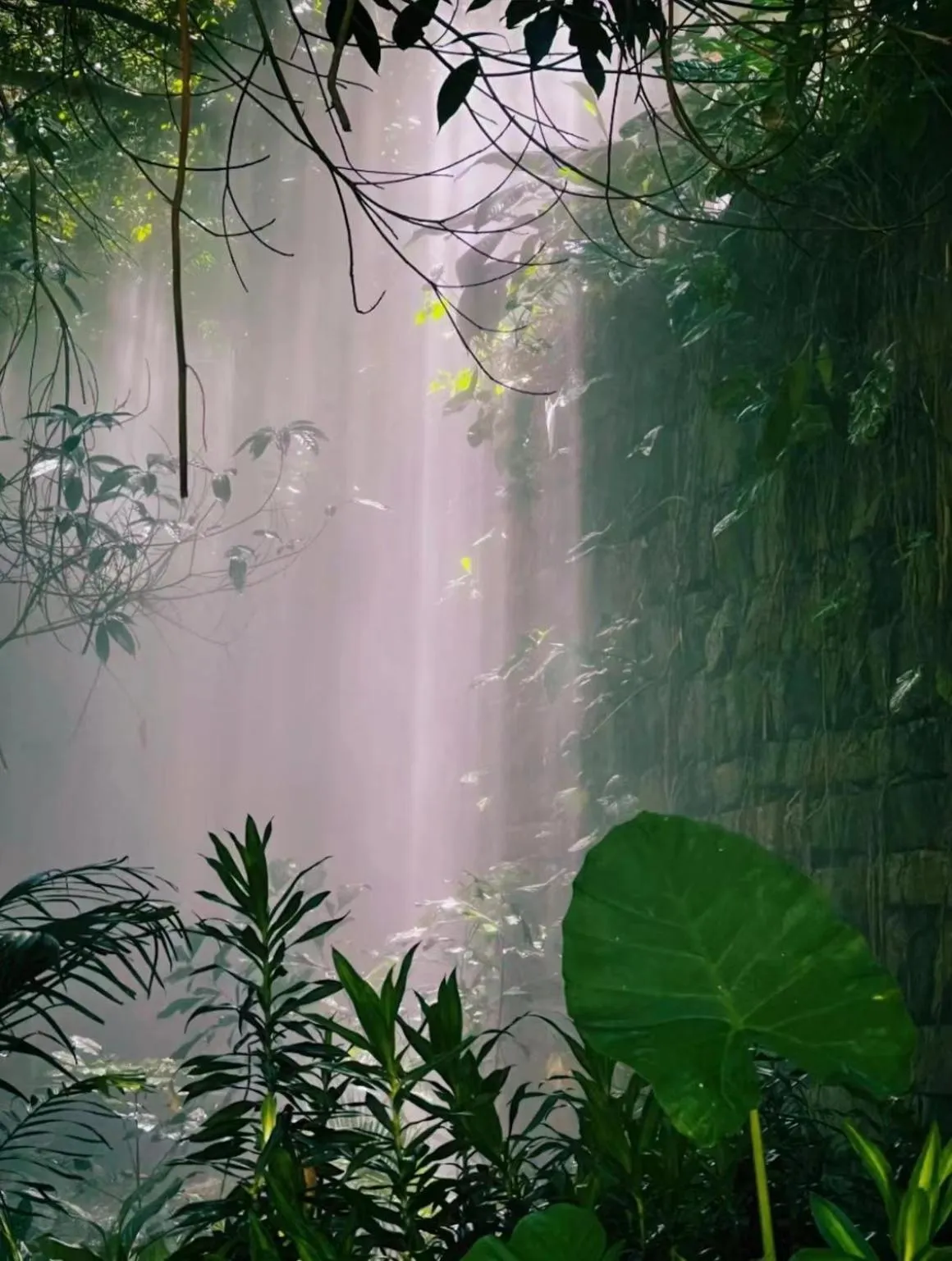 Other in City Hotel Xiamen-Free Welcome Fruits