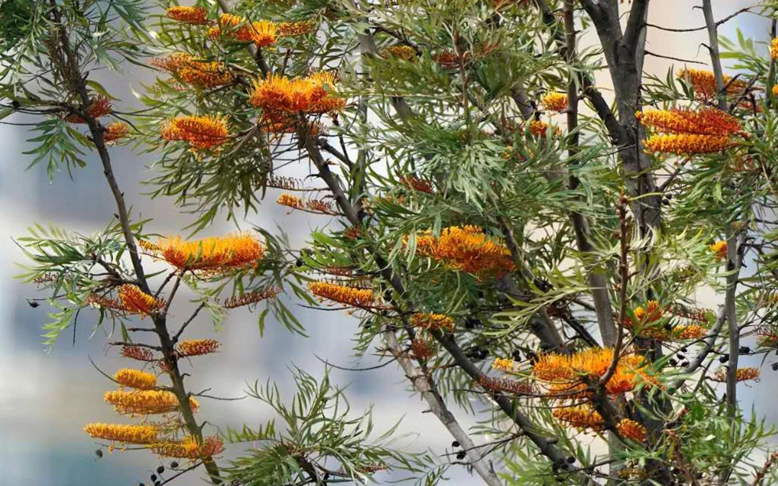 Garden in City Hotel Xiamen-Free Welcome Fruits