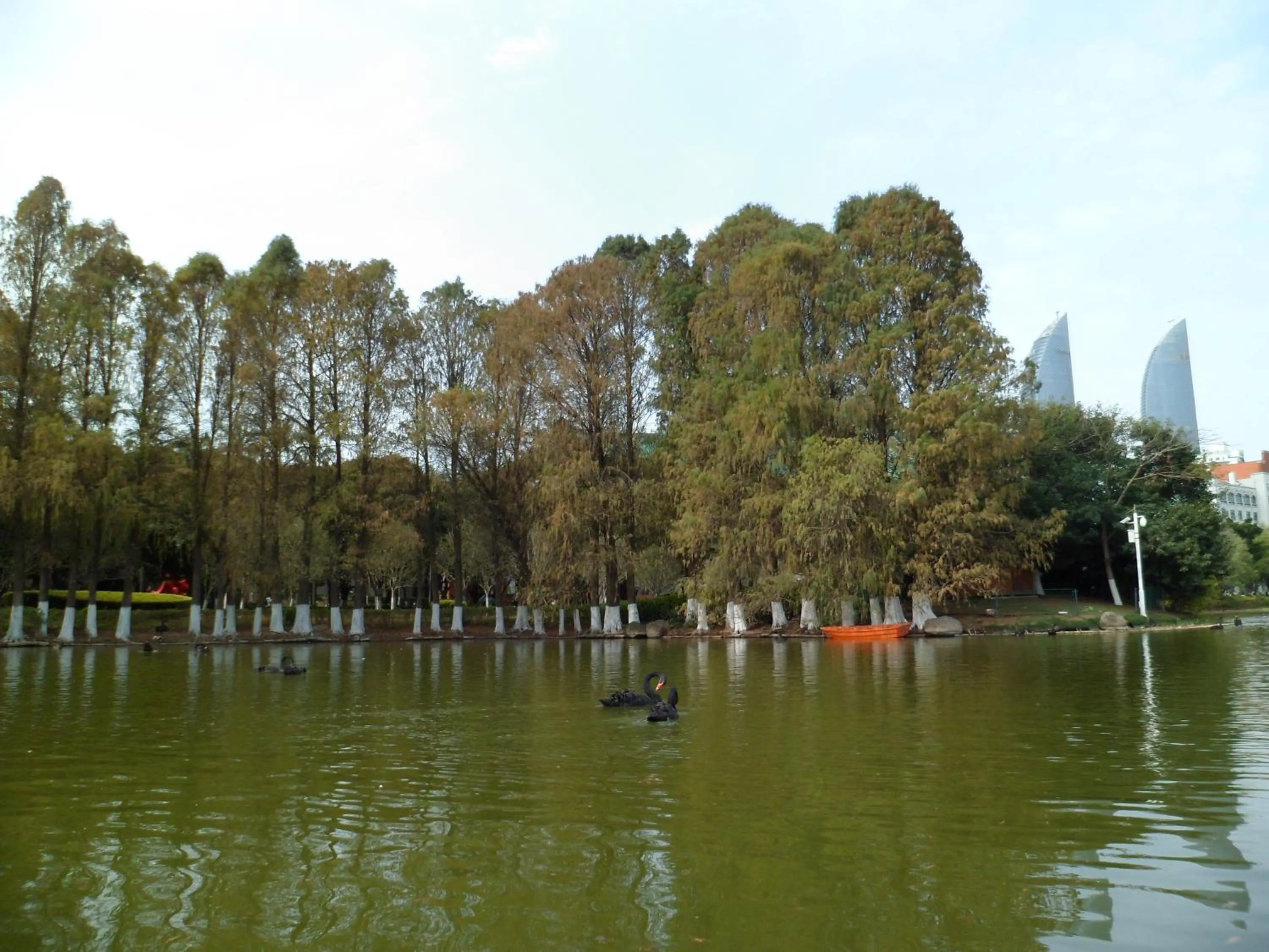 Other in City Hotel Xiamen-Free Welcome Fruits