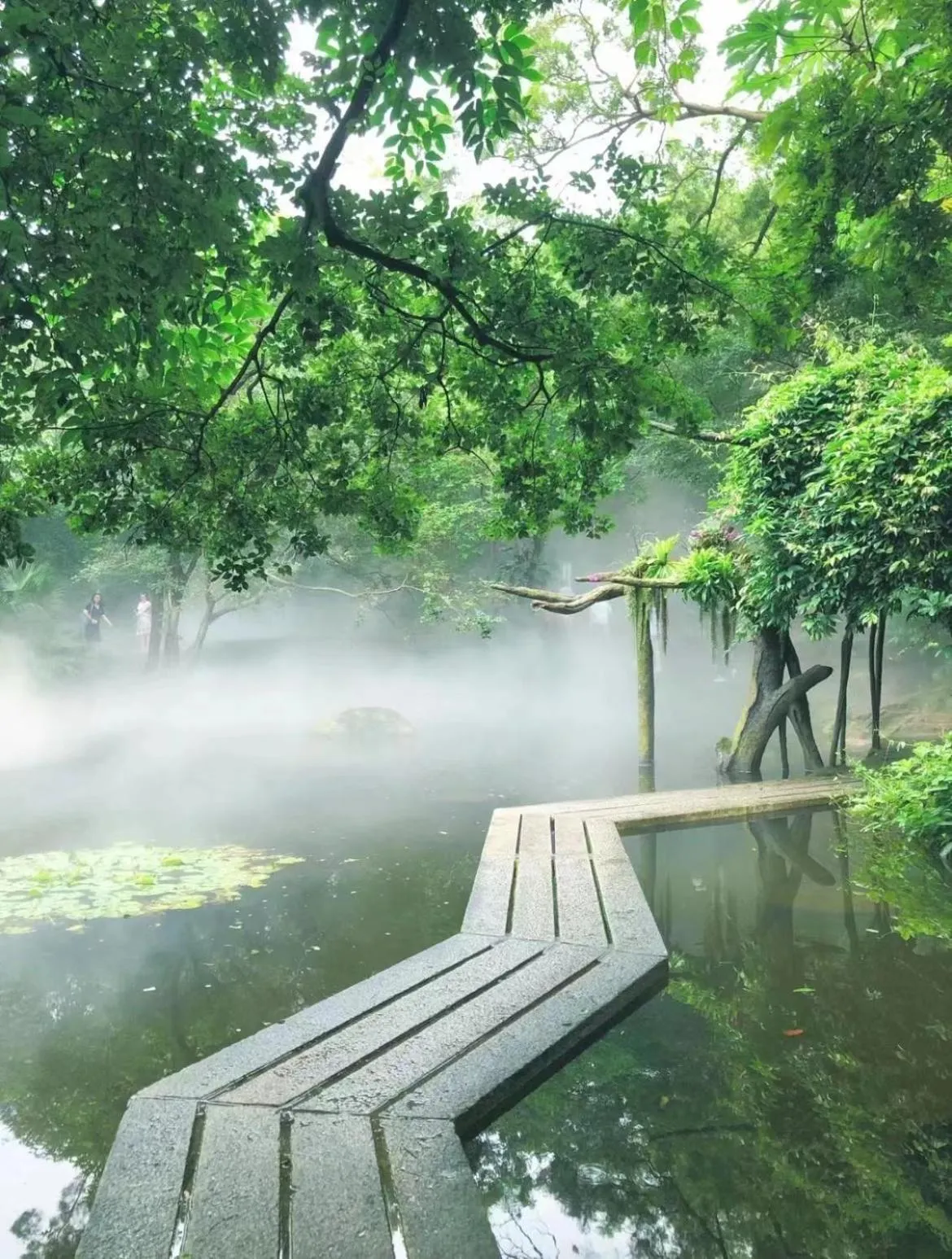 Other in City Hotel Xiamen-Free Welcome Fruits